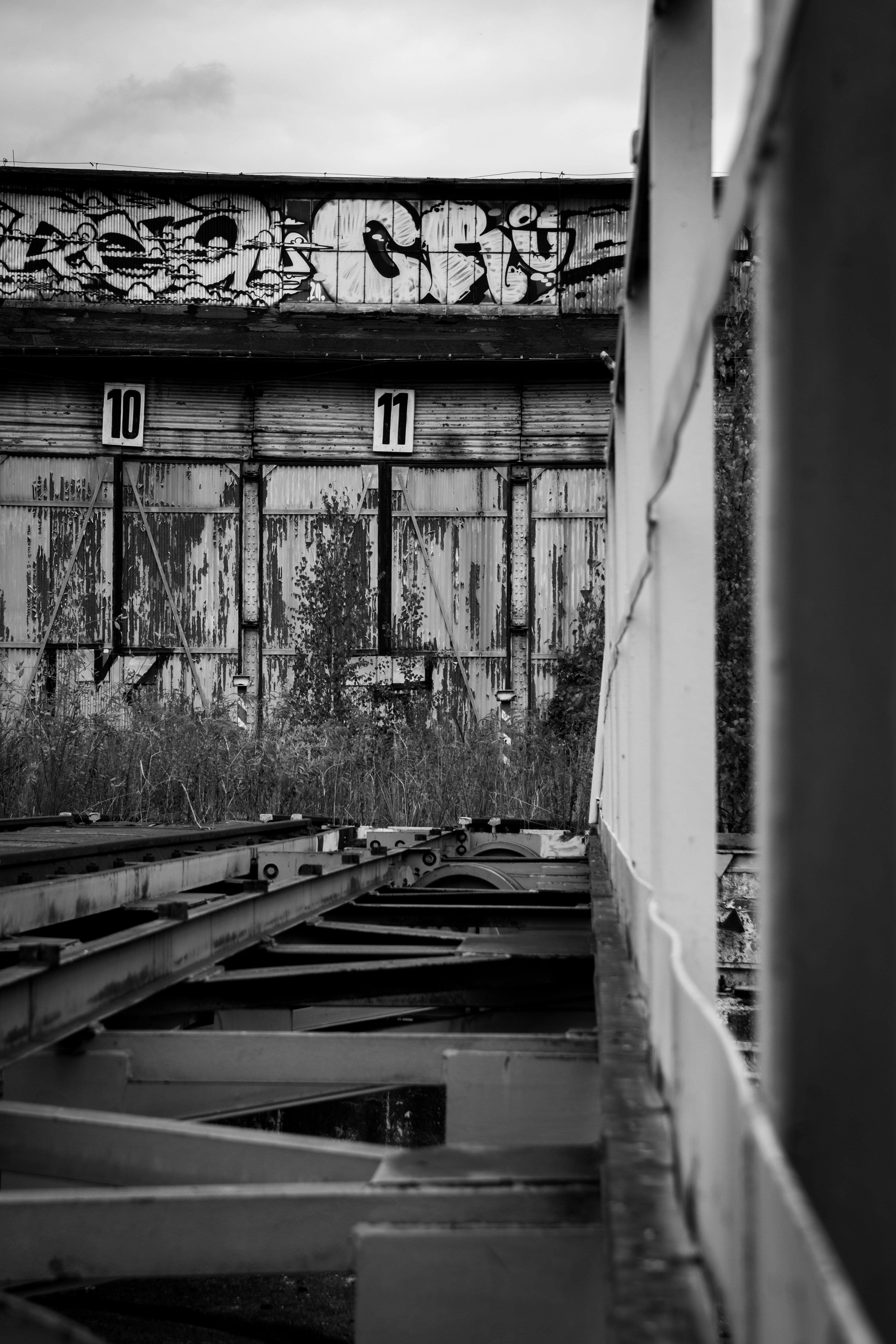 Photo by suchencjusz