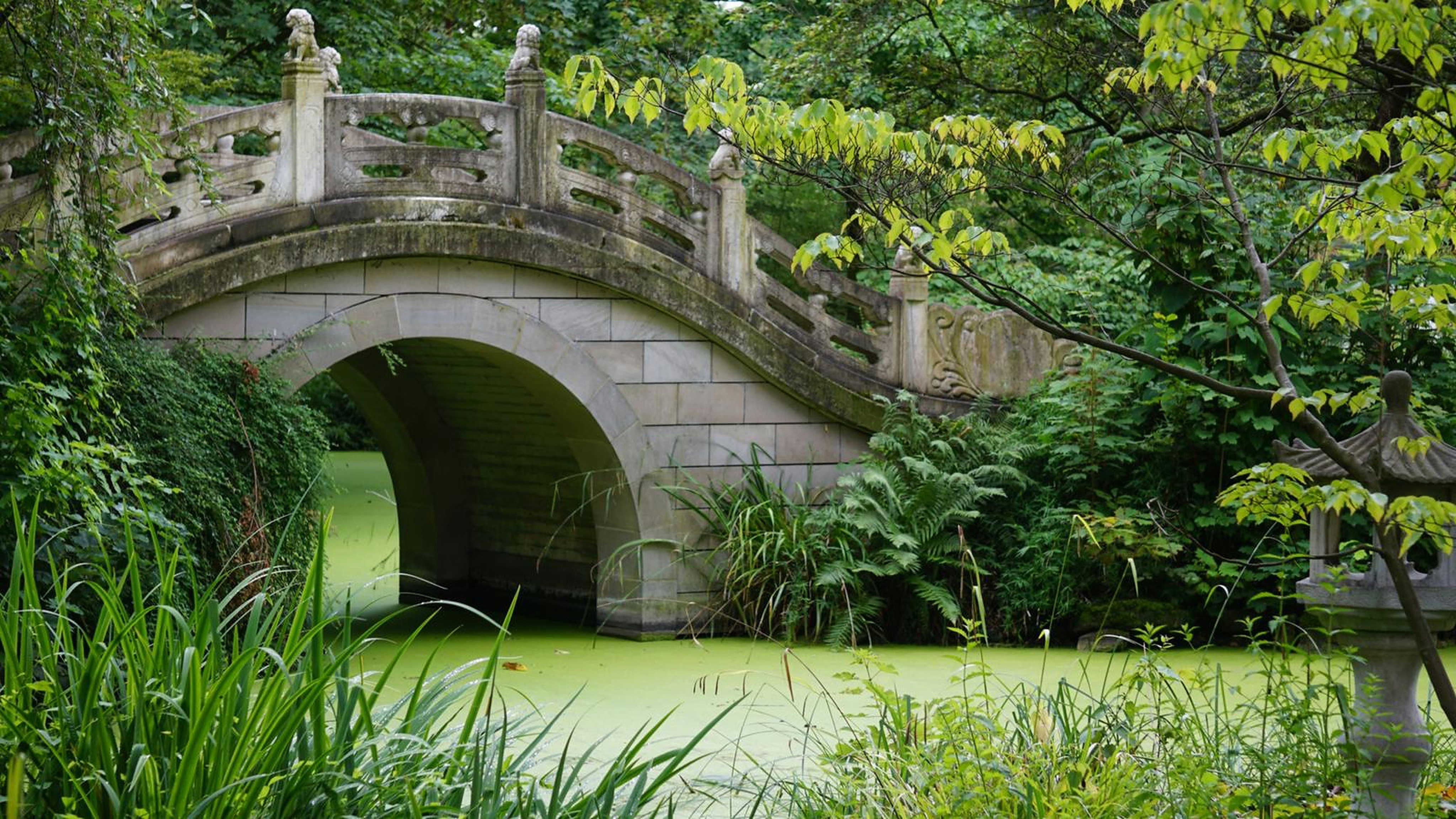 Photo by bjoernrodewald