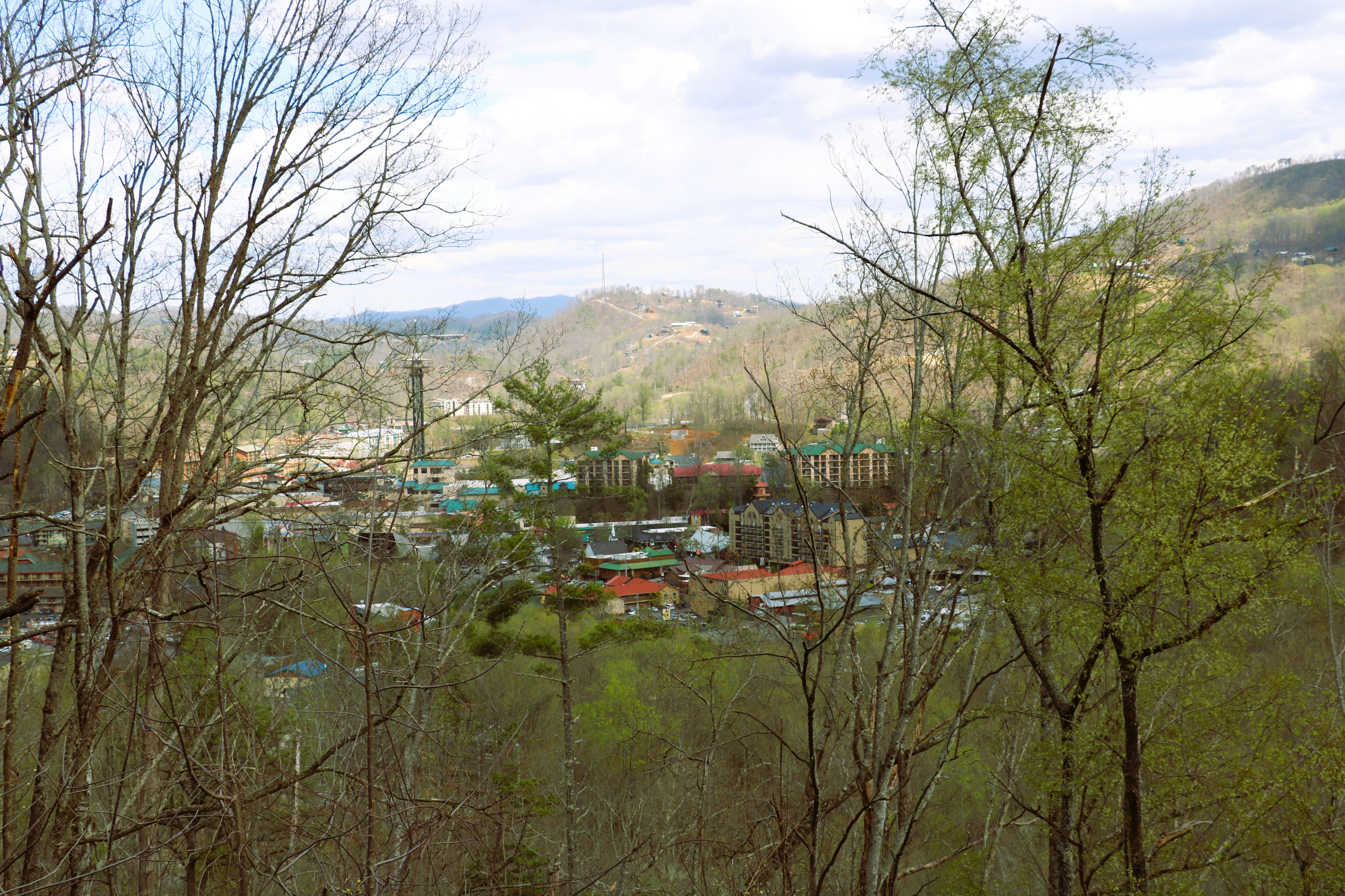 Rhino's Sports & Spirits