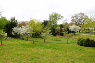 A serene garden with lush greenery and blooming flowers, showcasing professional landscaping.