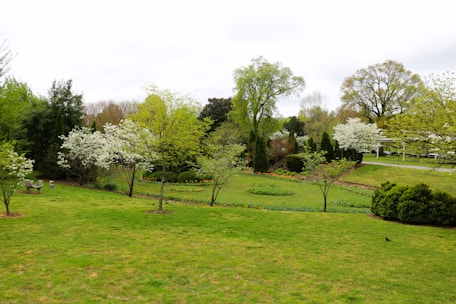 A serene outdoor garden featuring a variety of trees and flowering plants.