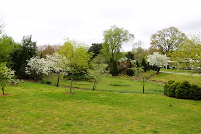 A peaceful garden filled with blooming flowers and greenery.