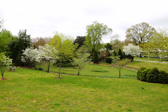 A serene garden with lush greenery and blooming flowers, showcasing professional landscaping.