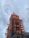 A historic stone tower under renovation is encased in scaffolding. The structure features intricate architectural details and is set against a backdrop of a cloudy sky, with soft lighting suggesting a time near sunrise or sunset.