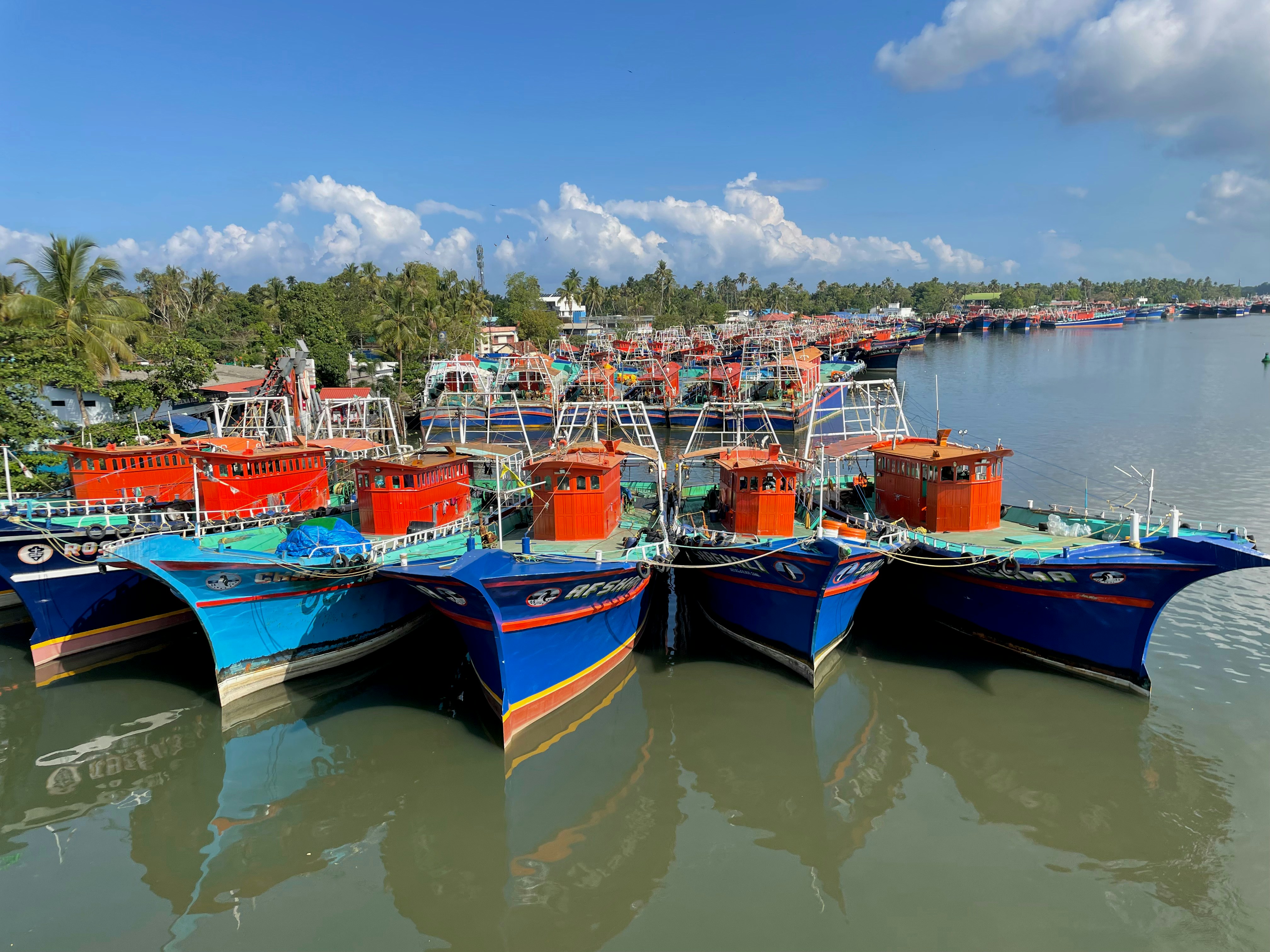 boats docked in a harbor