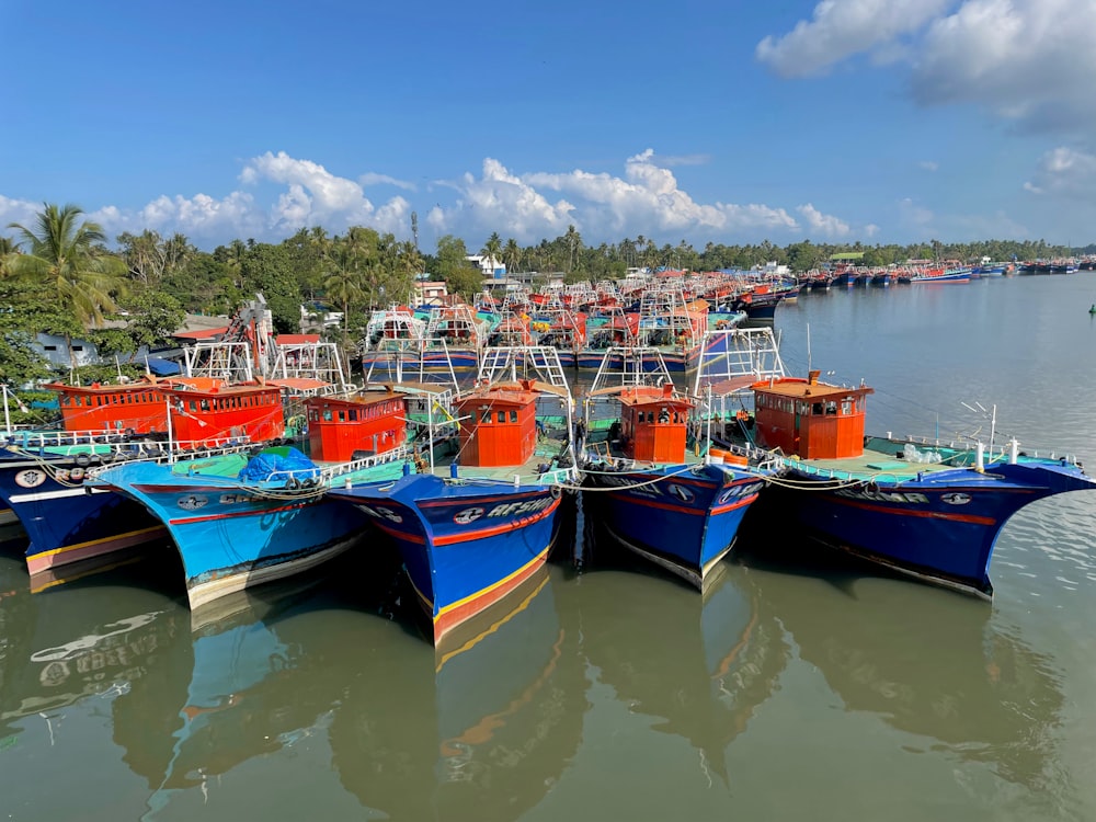 boats docked in a harbor