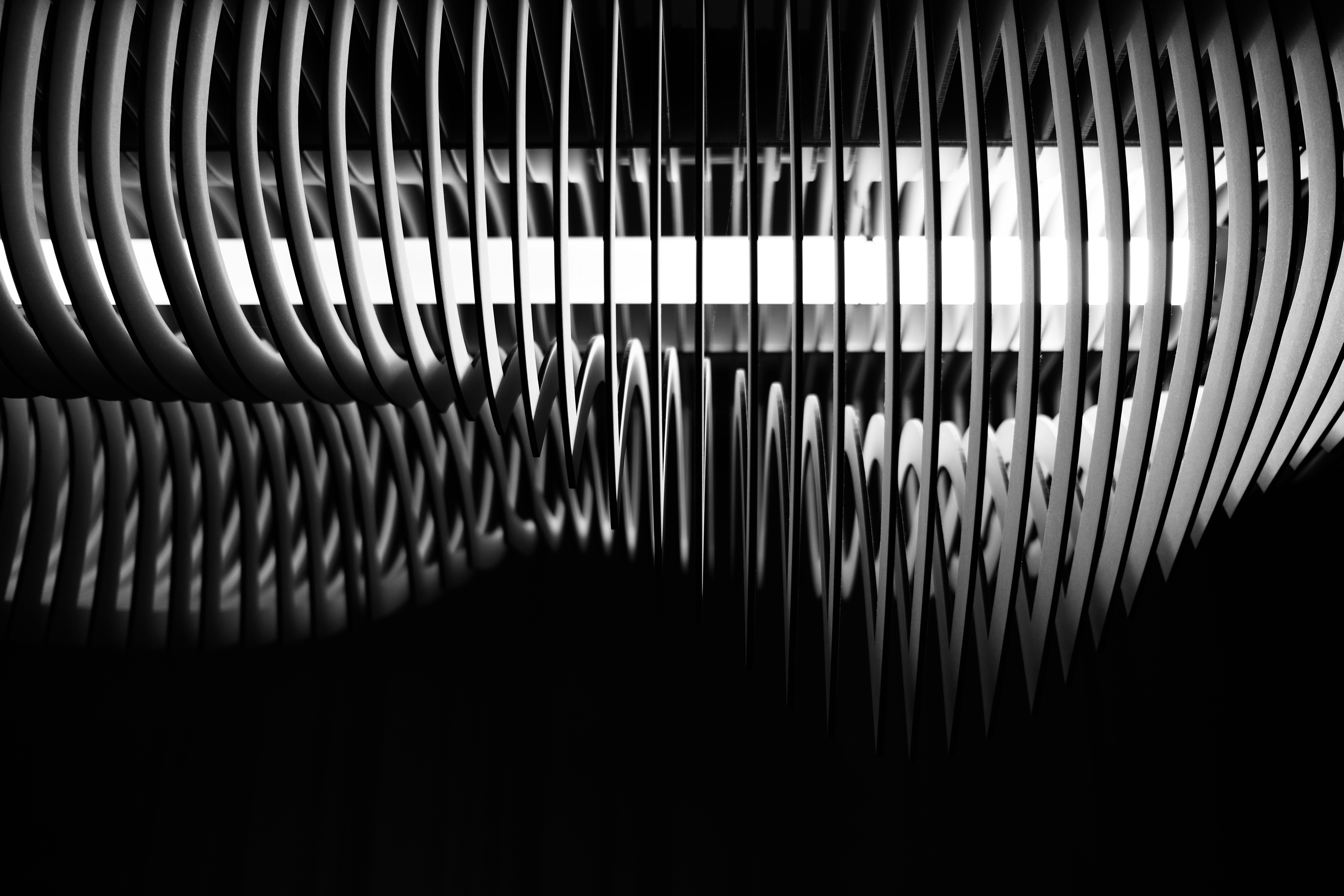 Photo by marthabeckers