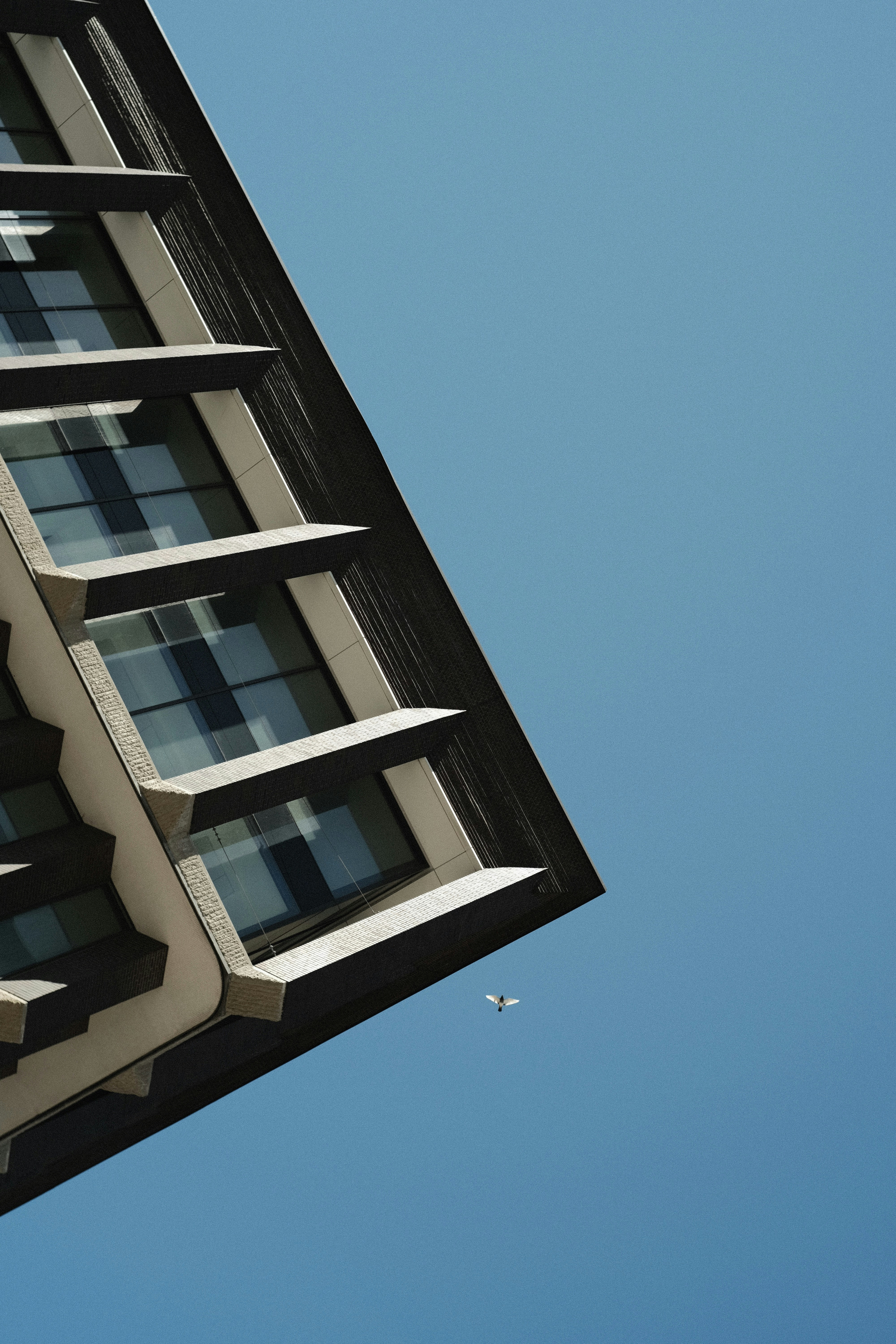 Photo by kartoffel_liu