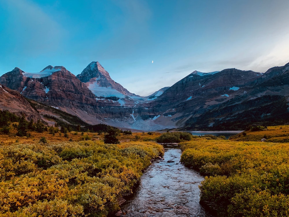 a river running through a valley with mountains in the background