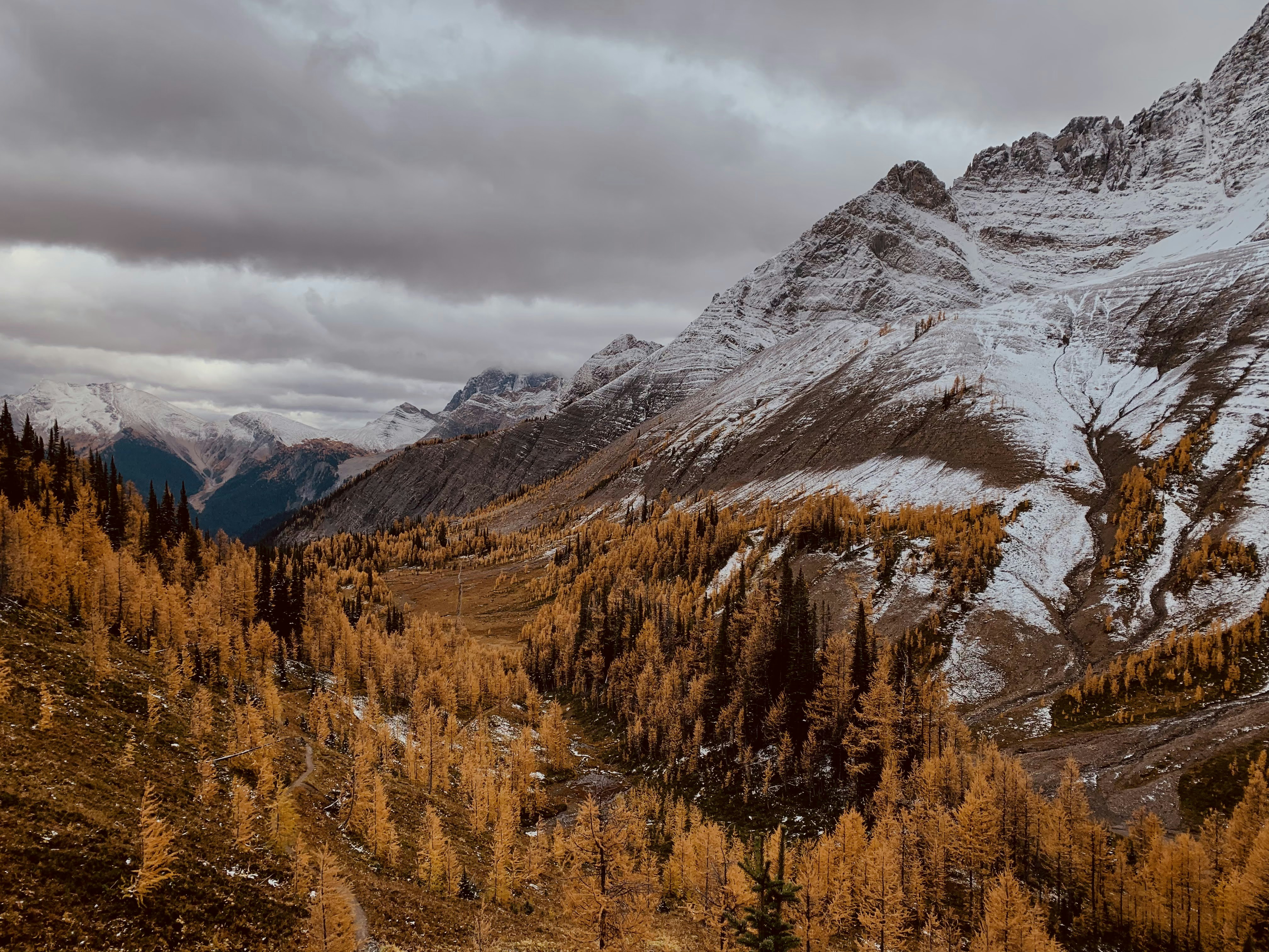 Photo by eleanorthepunk