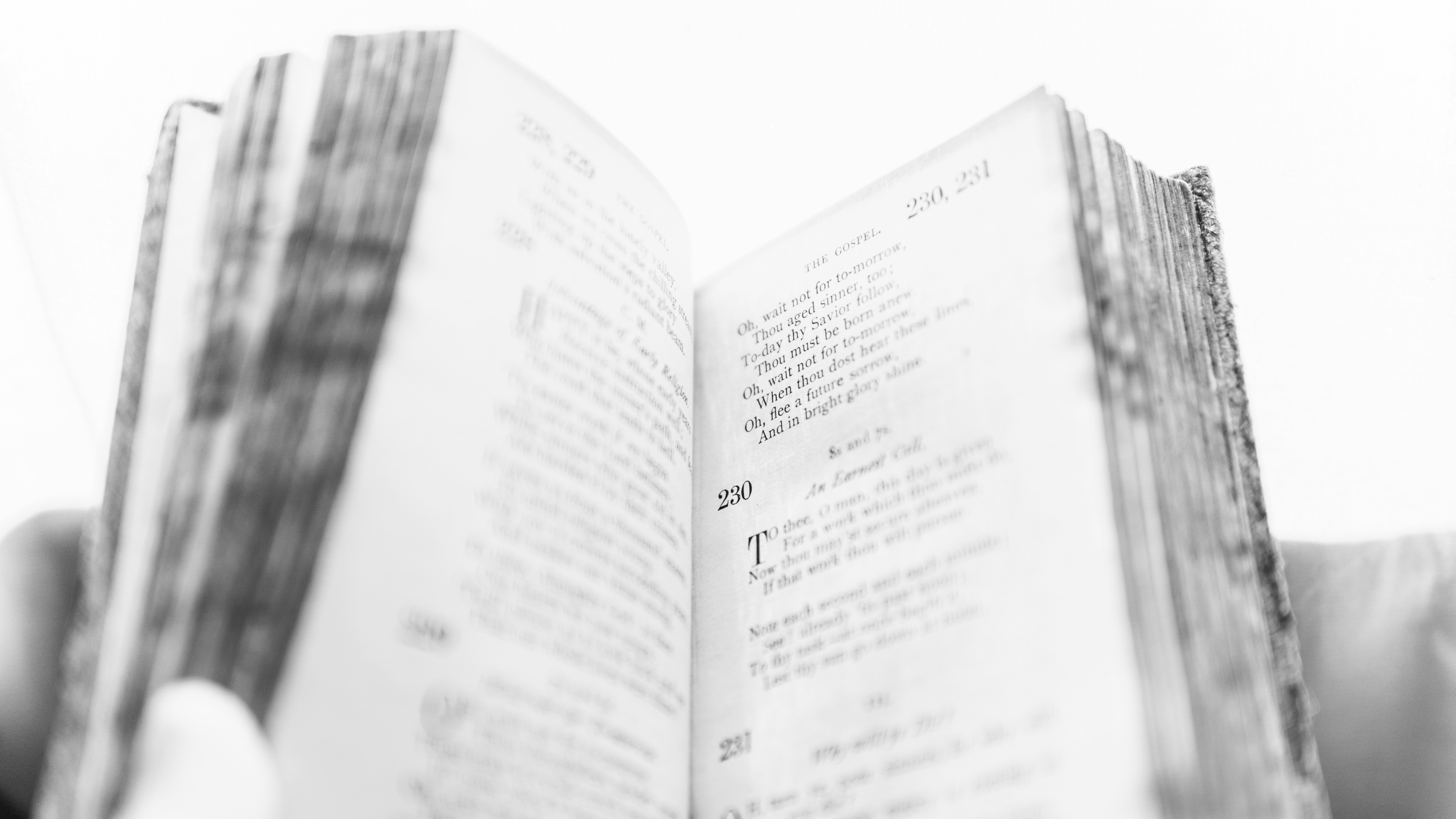 Photo by mrgreatheart