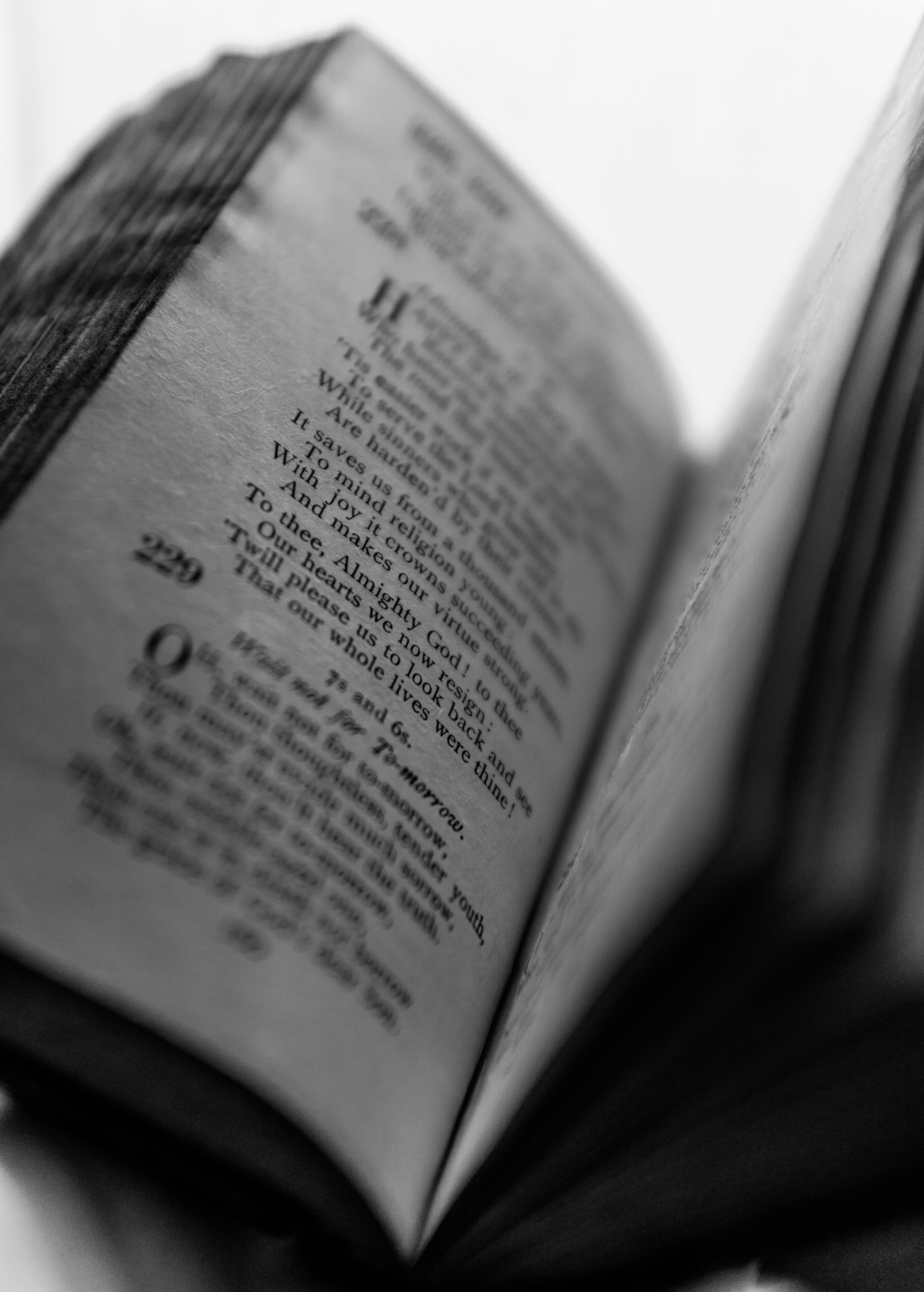 Photo by mrgreatheart