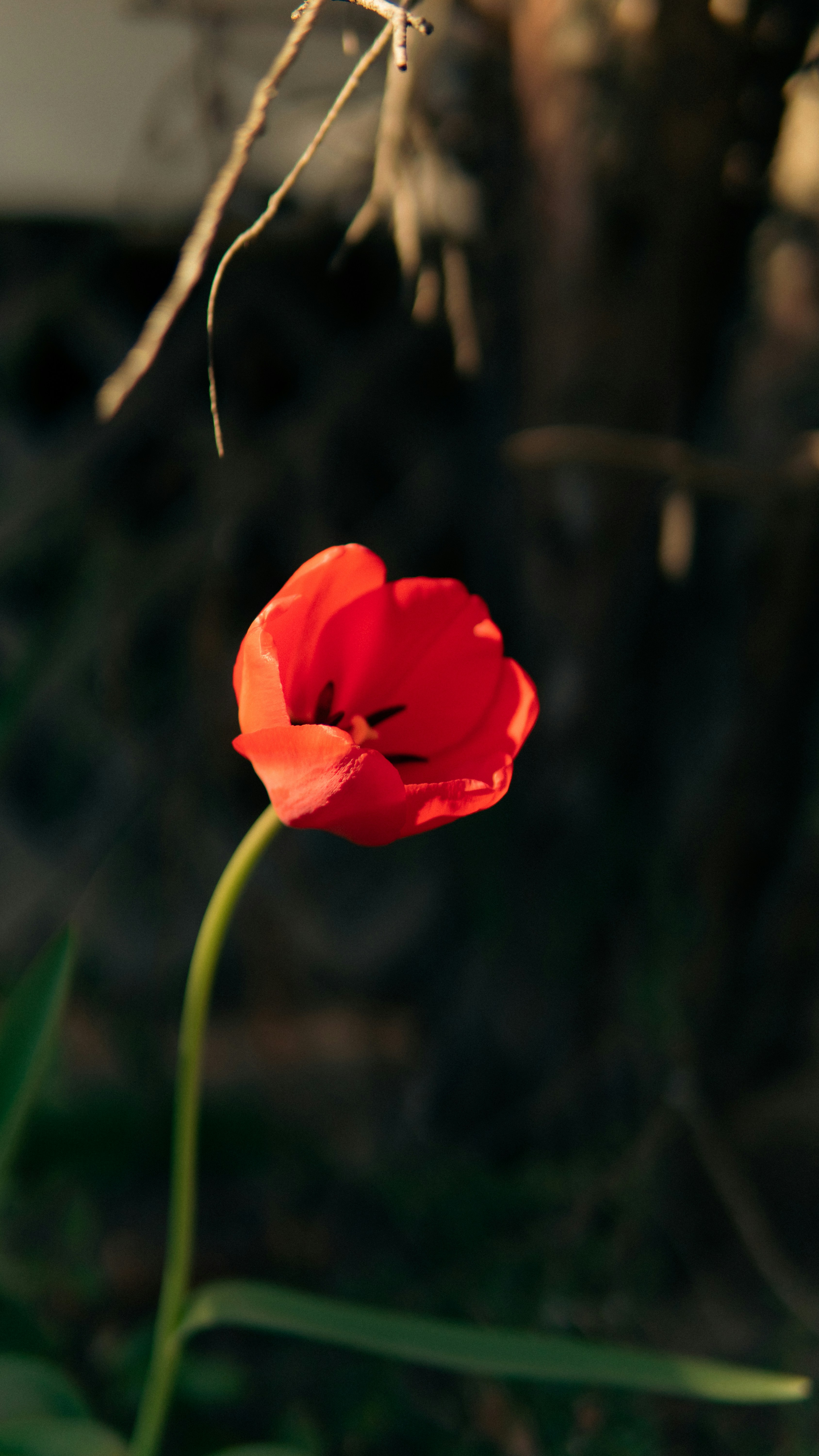 Photo by mrgreatheart