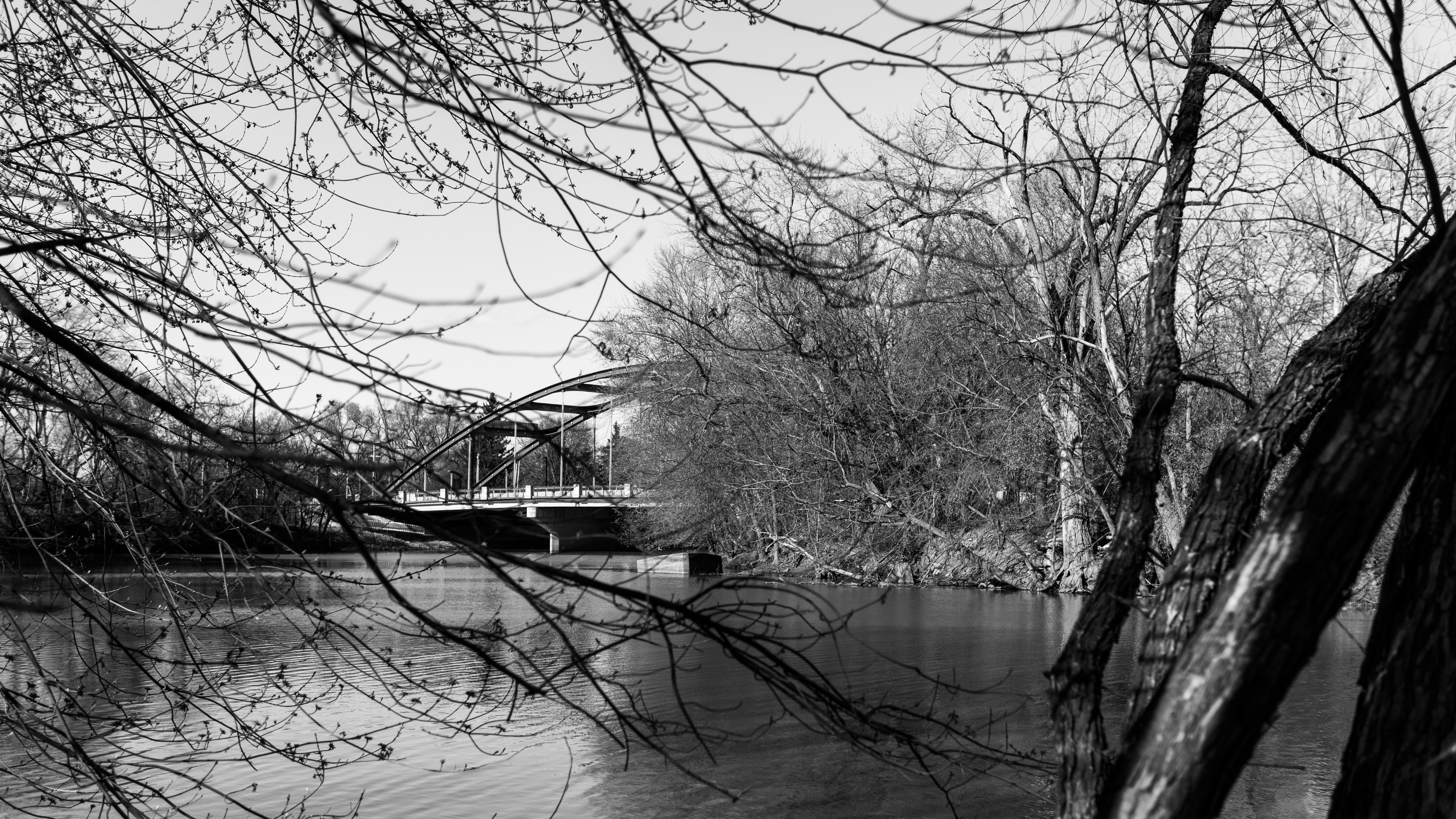 Photo by mrgreatheart