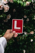 A hand is holding a red learner driver sign with a prominent white 'L' in front of a background of lush green foliage and blooming flowers.