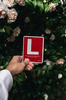 A hand is holding a red learner driver sign with a prominent white 'L' in front of a background of lush green foliage and blooming flowers.