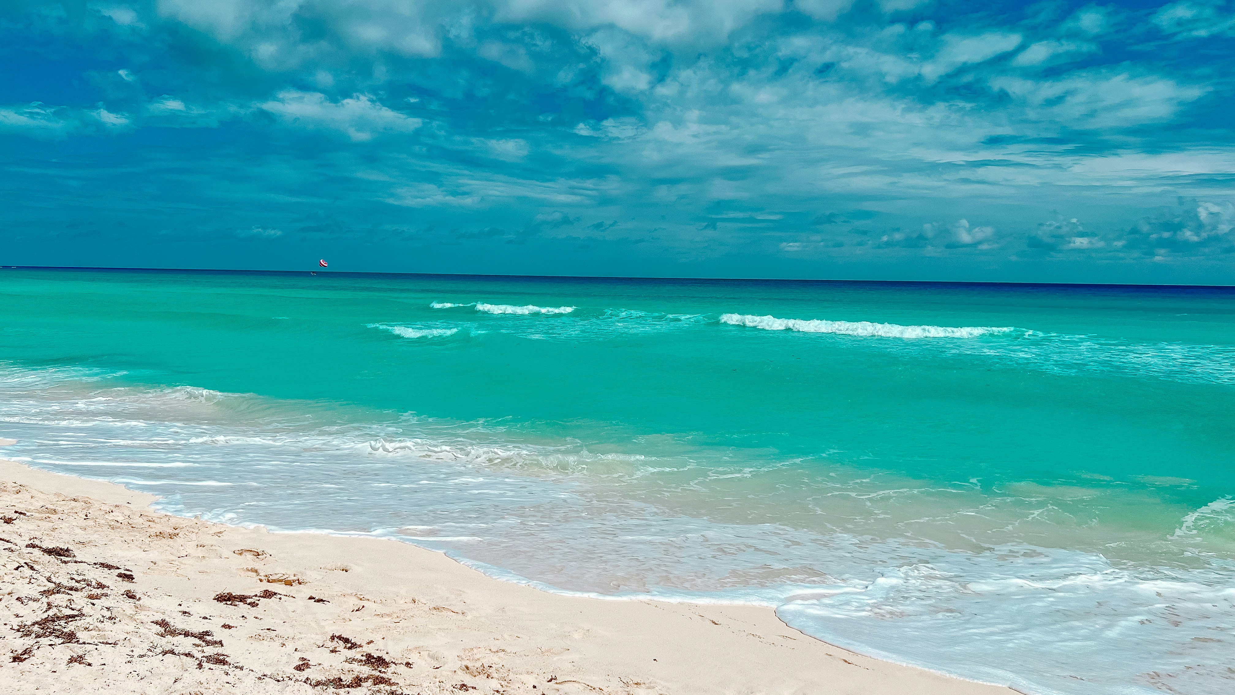 Photo by josemarroquin