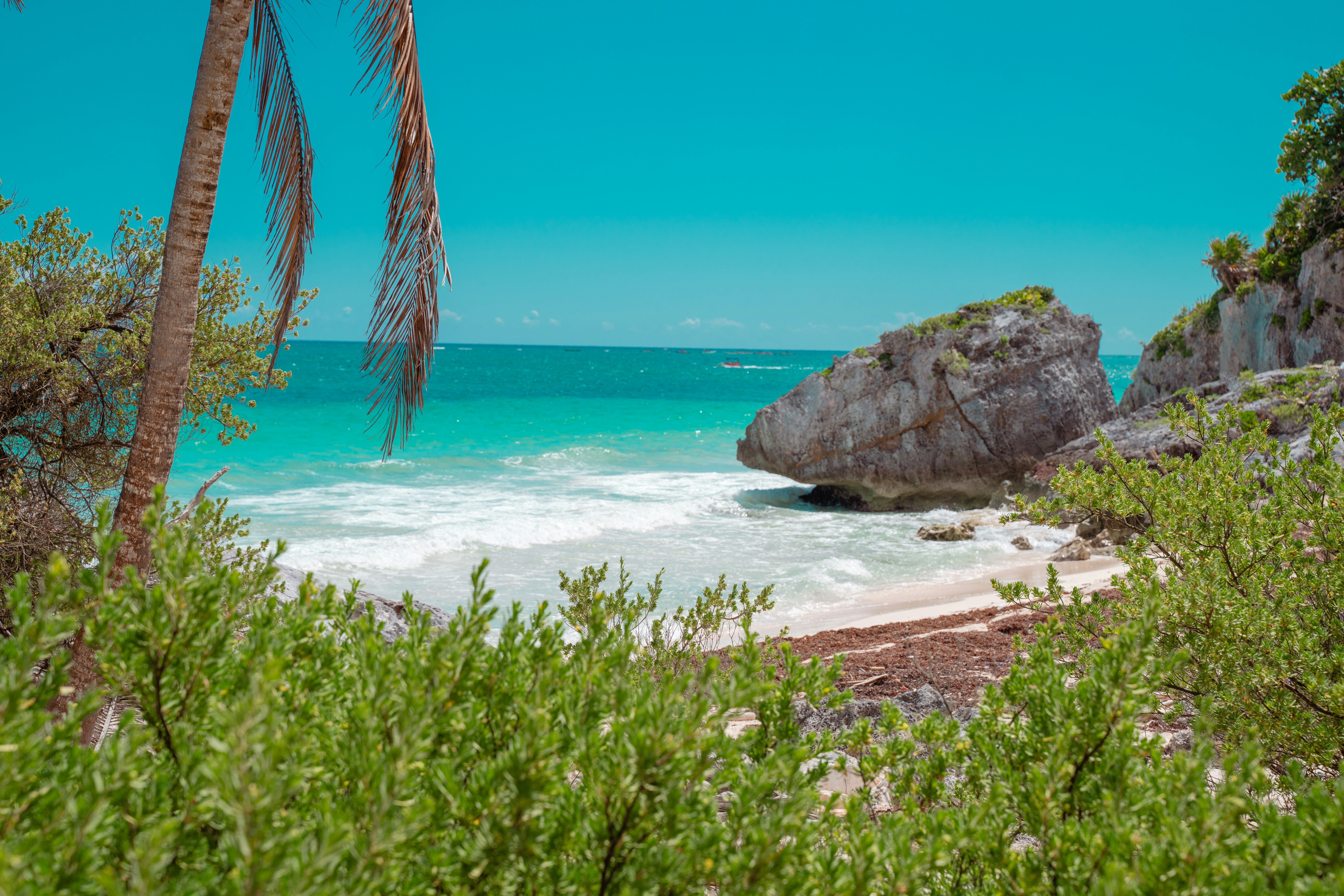 Photo by josemarroquin