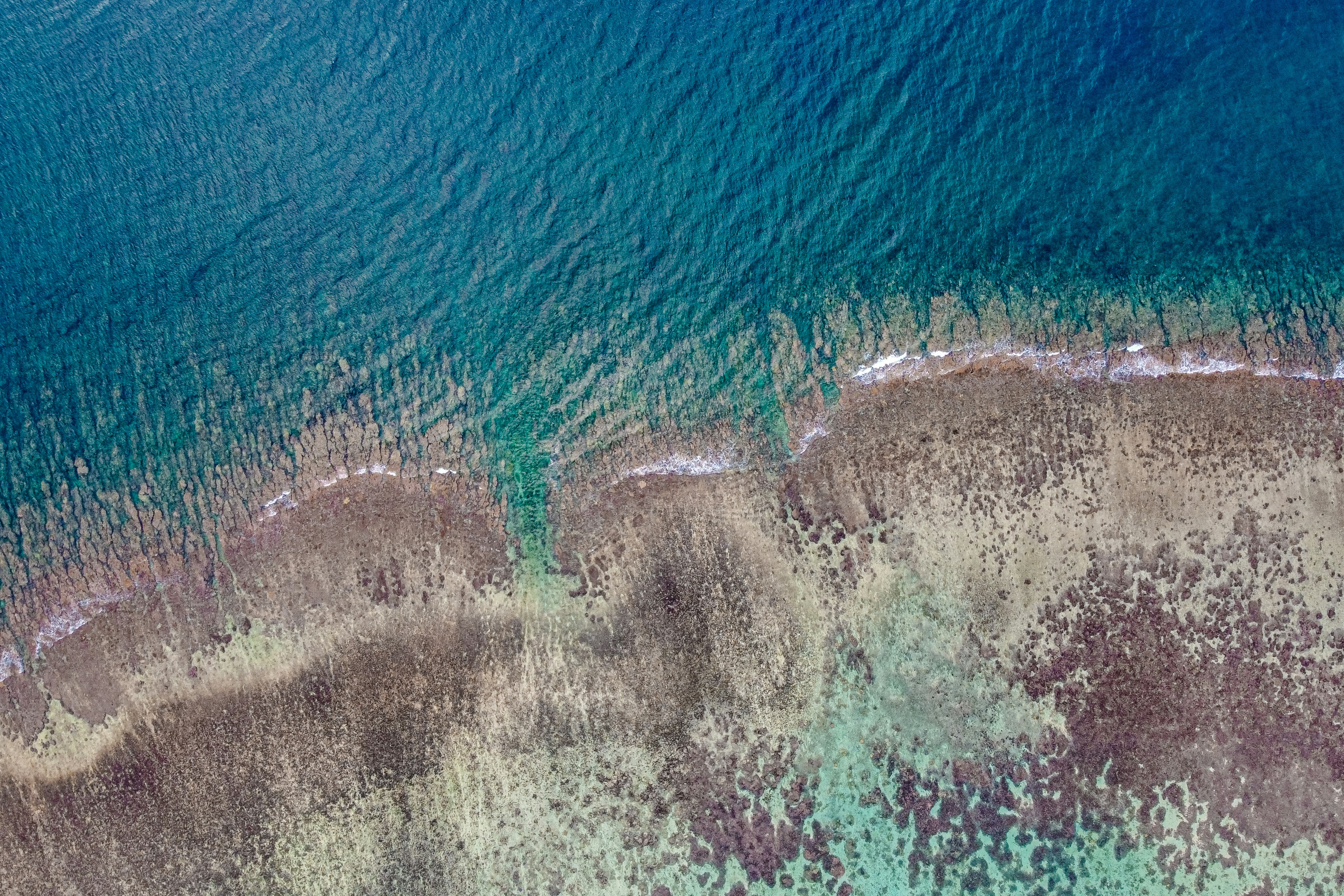 Snorkelling at Blue Bay Marine Park Mauritius — coral reef and sea turtles | Safari Sutra