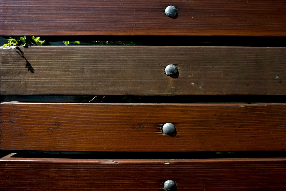 a group of round objects on a wooden surface