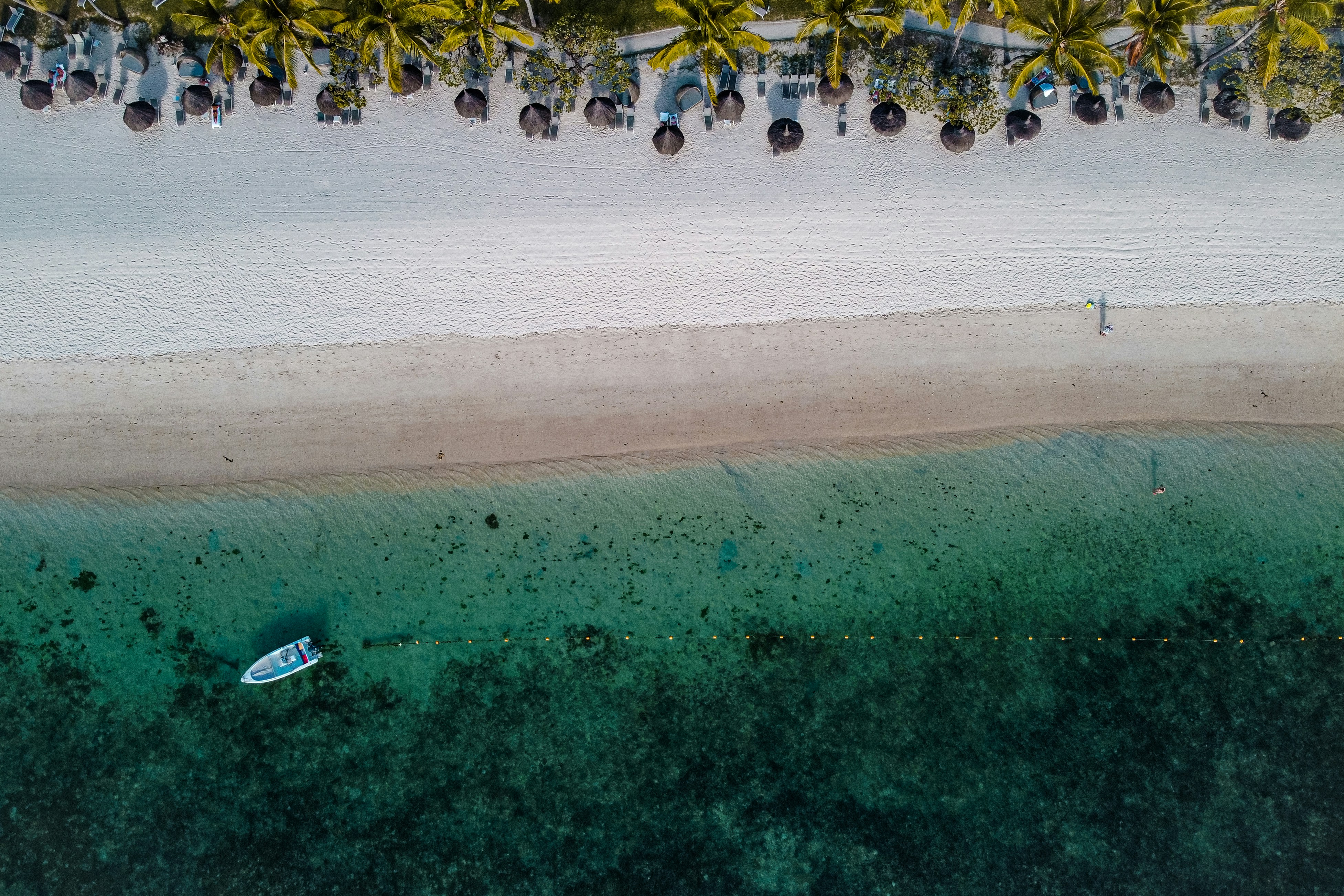 Business Plan for Hotels and Resorts