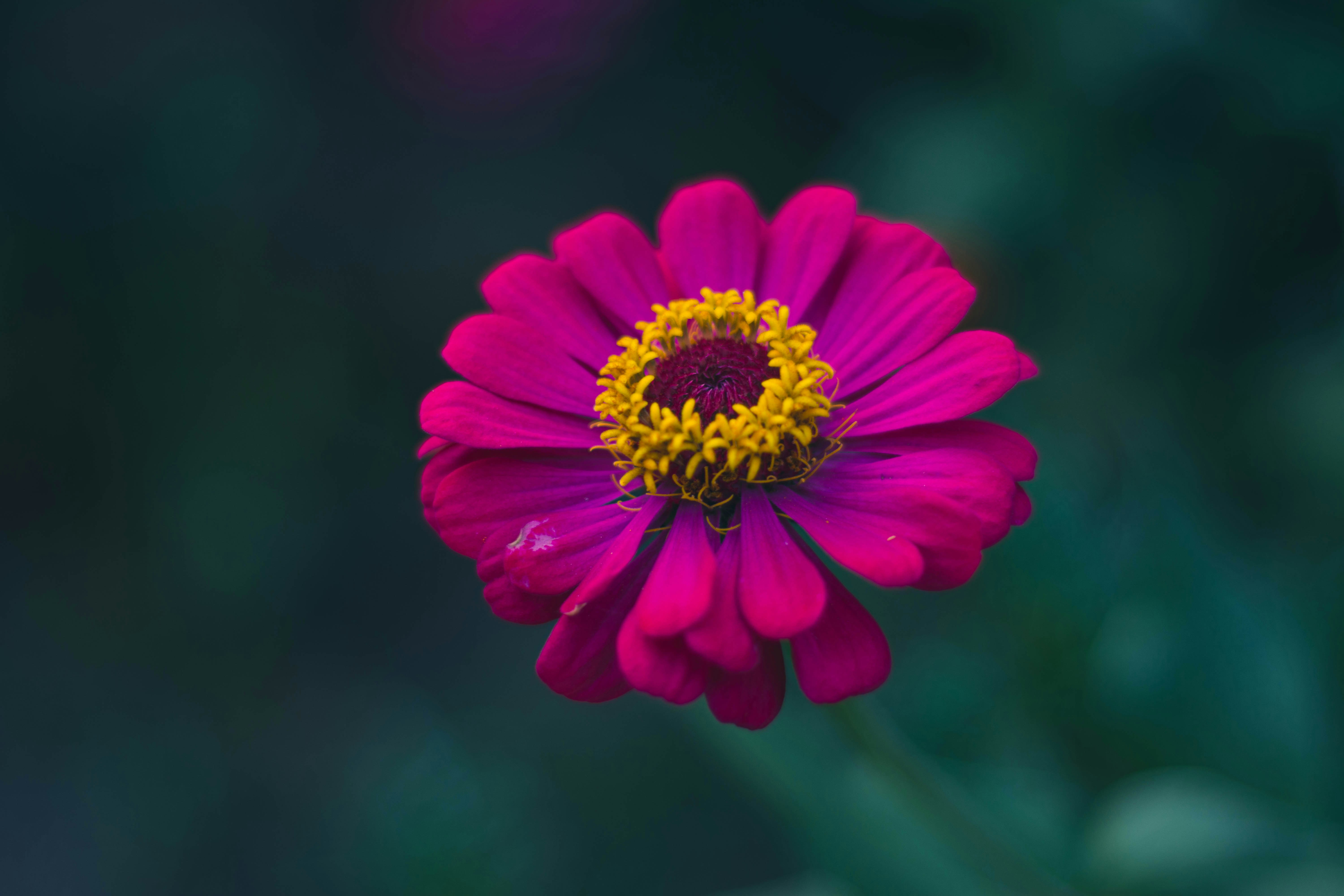 Photo by humanbahluli