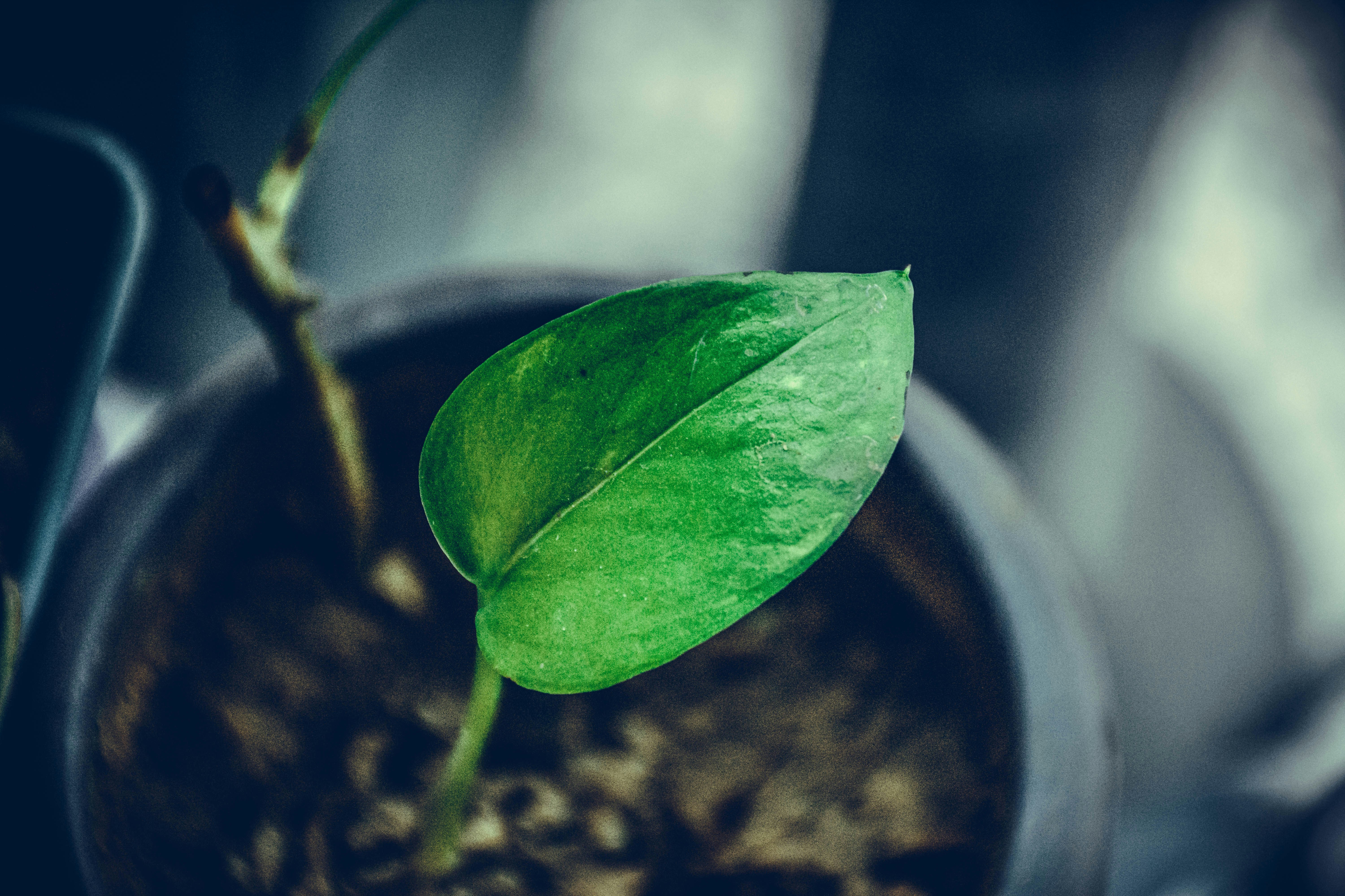 Photo by humanbahluli