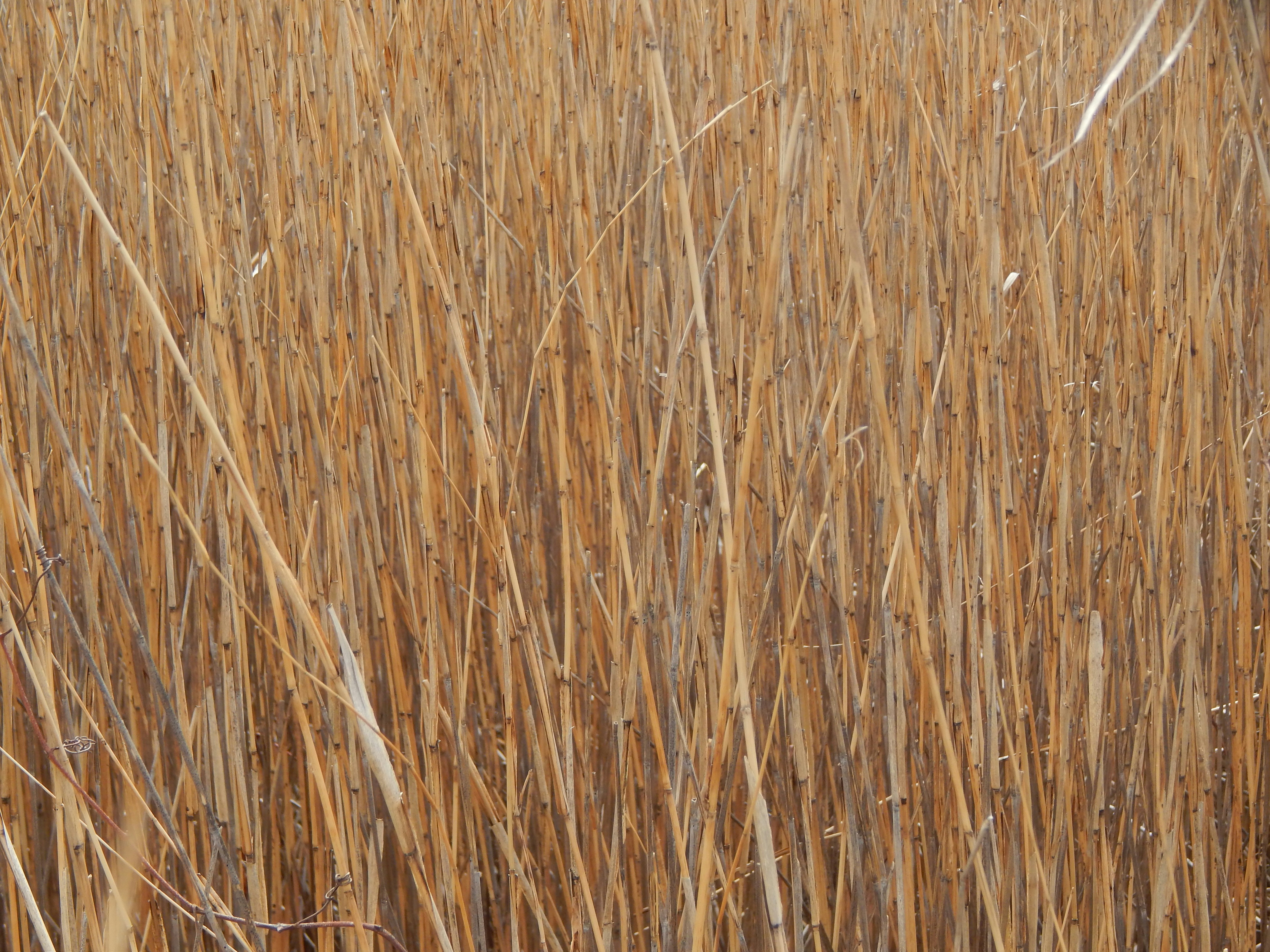 a close up of a wood surface