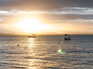 a group of boats on the water