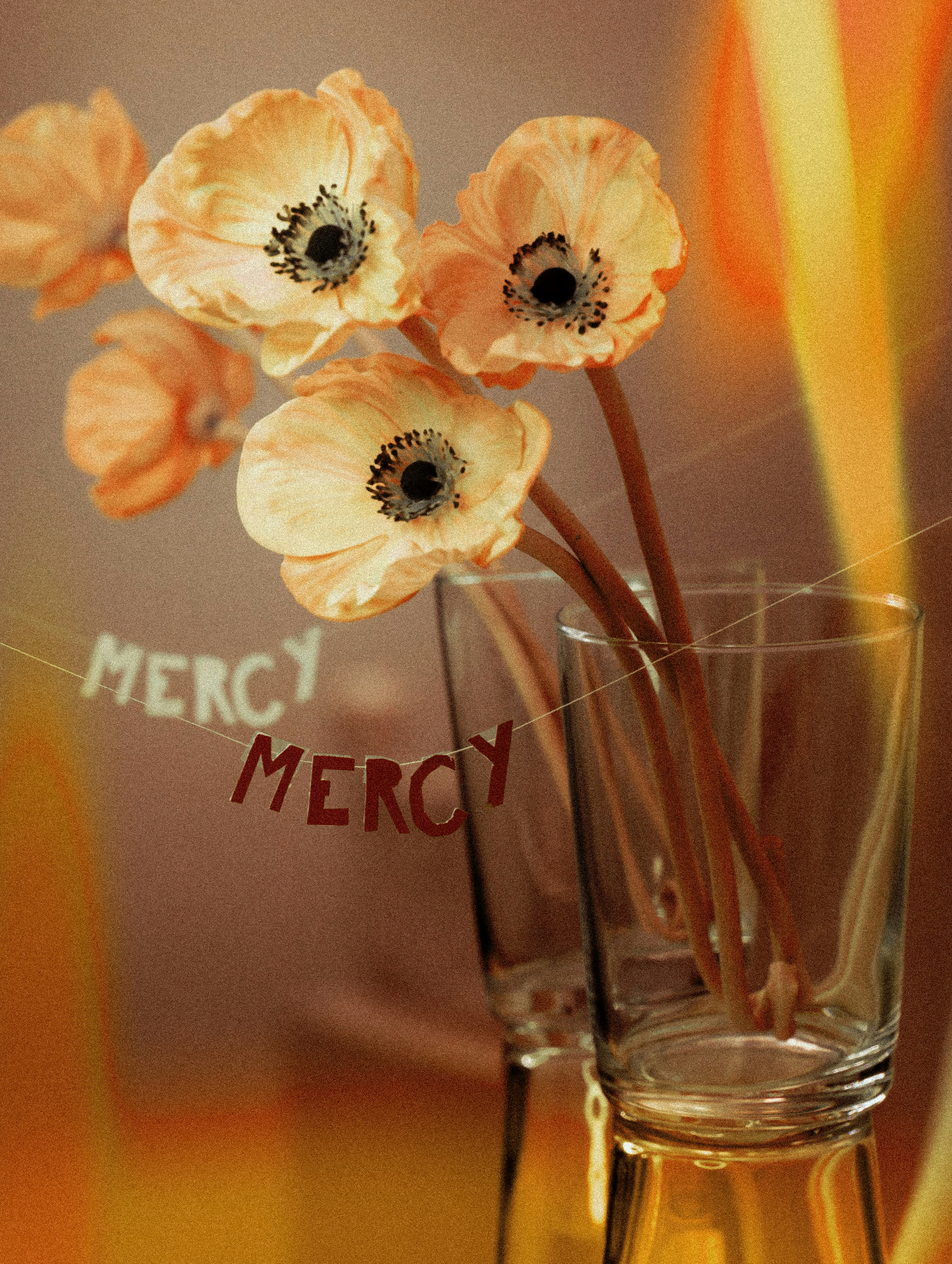 eine Vase mit Blumen