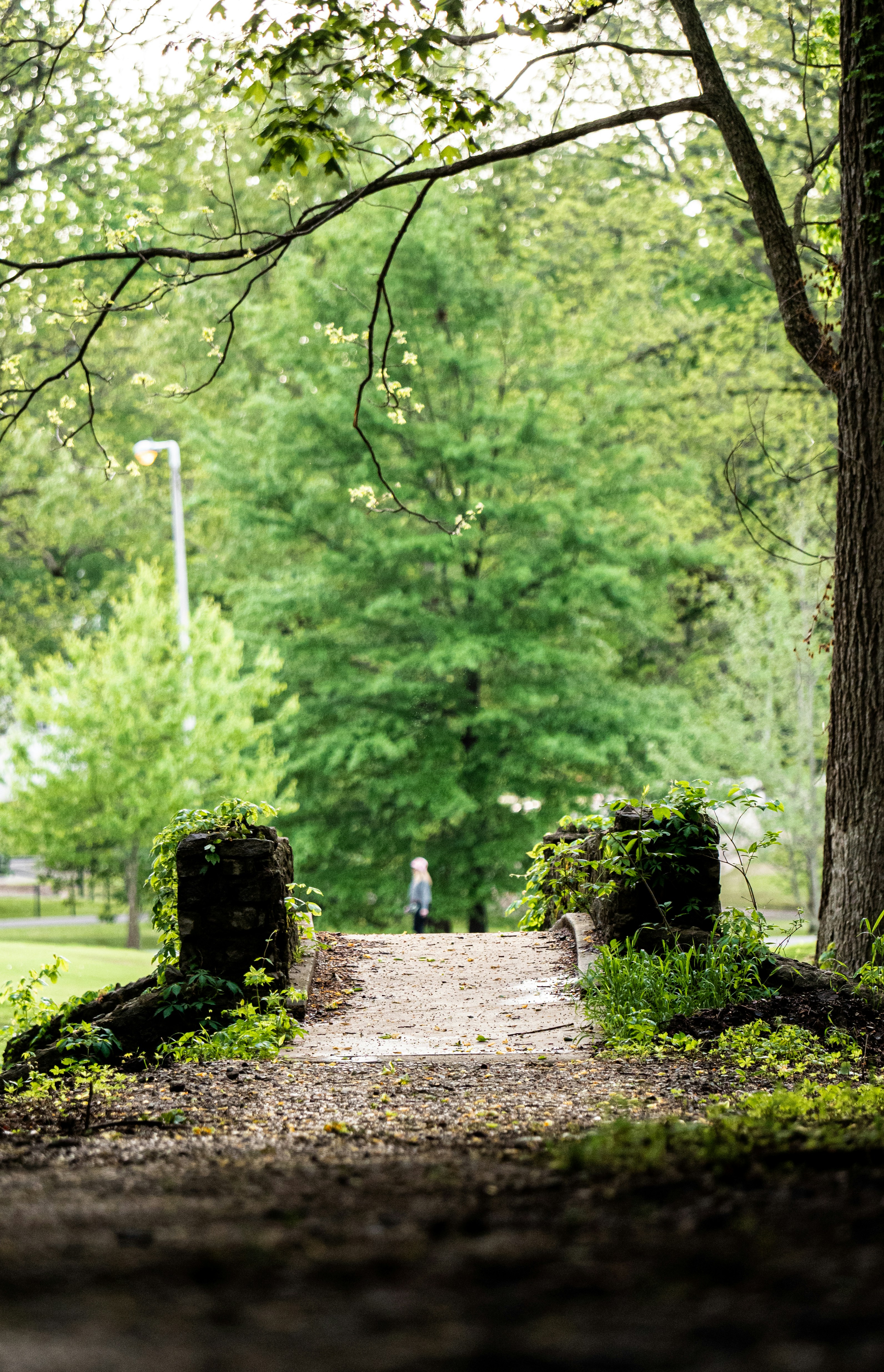 Photo by pedrotheartist