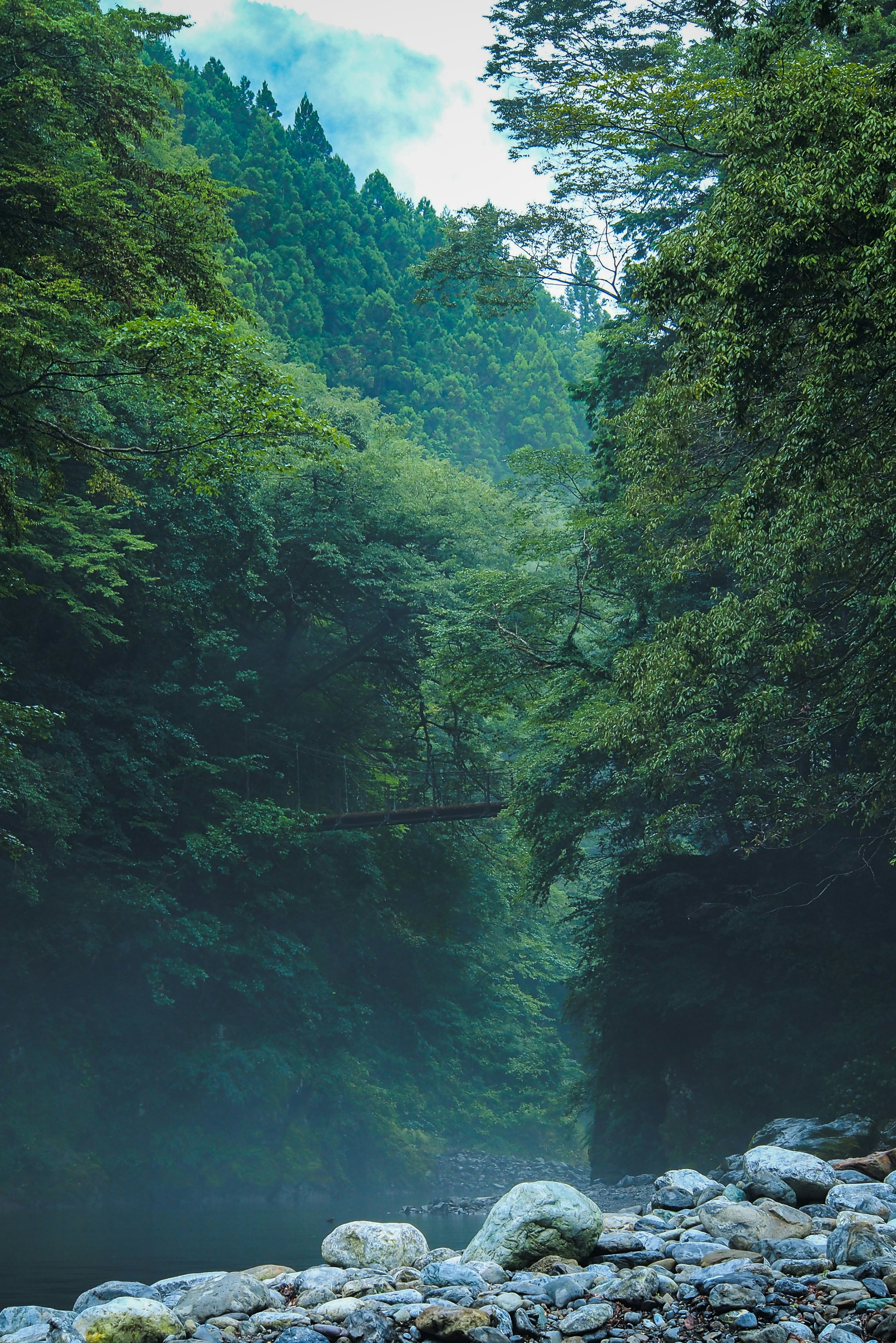 Photo by galihsputro