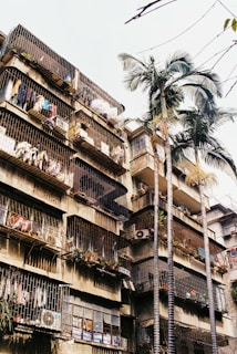 A multi-story residential building with metal grills covering the windows and balconies. Clothes are hung out to dry, and there are several potted plants on the balconies. Tall palm trees are situated in front of the building, adding a touch of greenery to the urban setting.