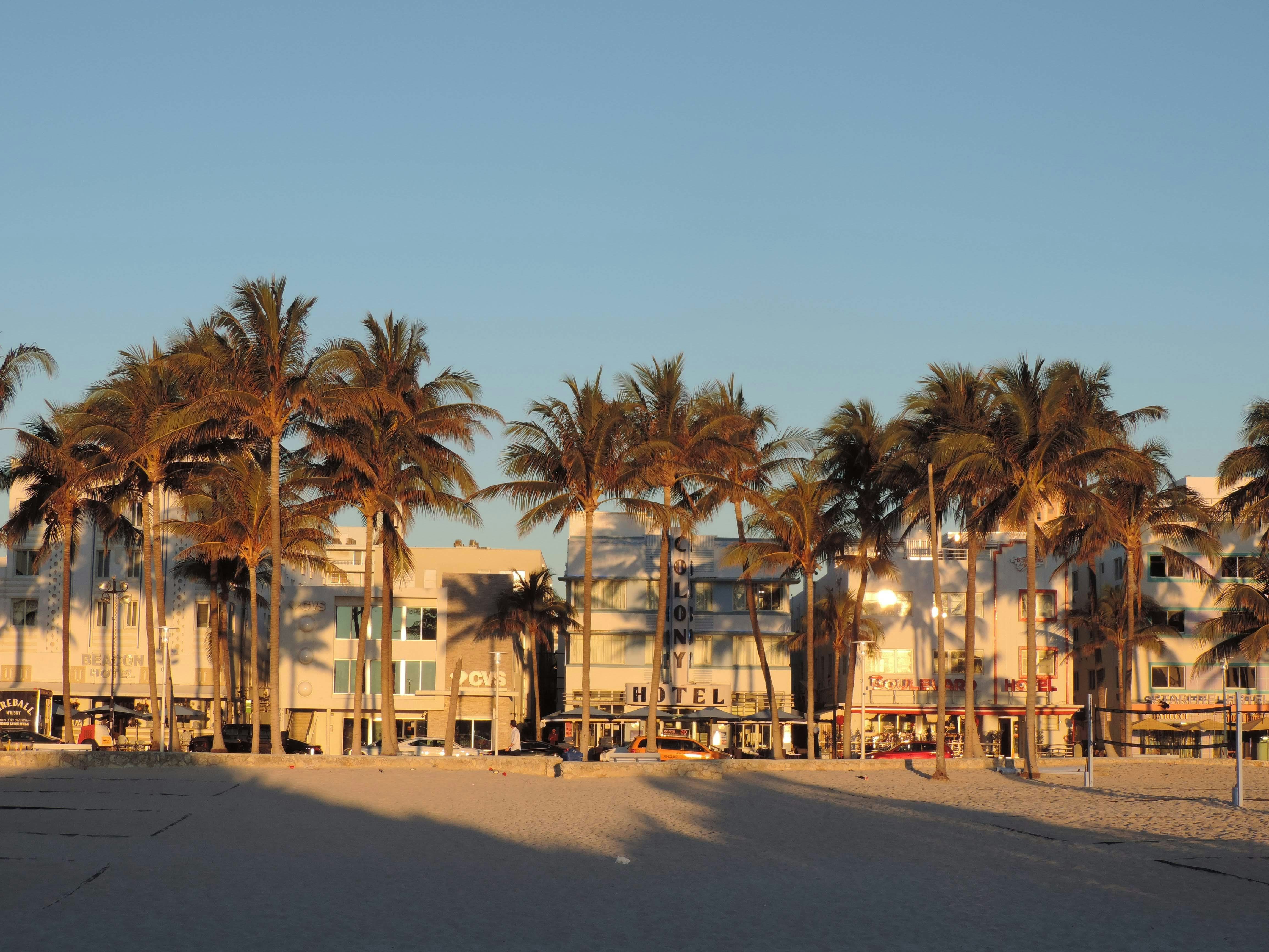 Photo by namitoyokota