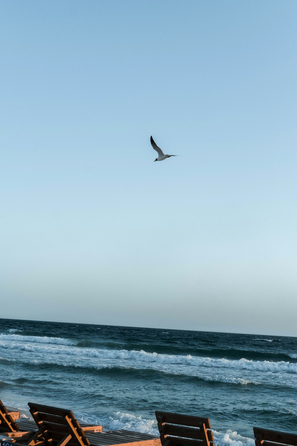 a bird flying over the ocean