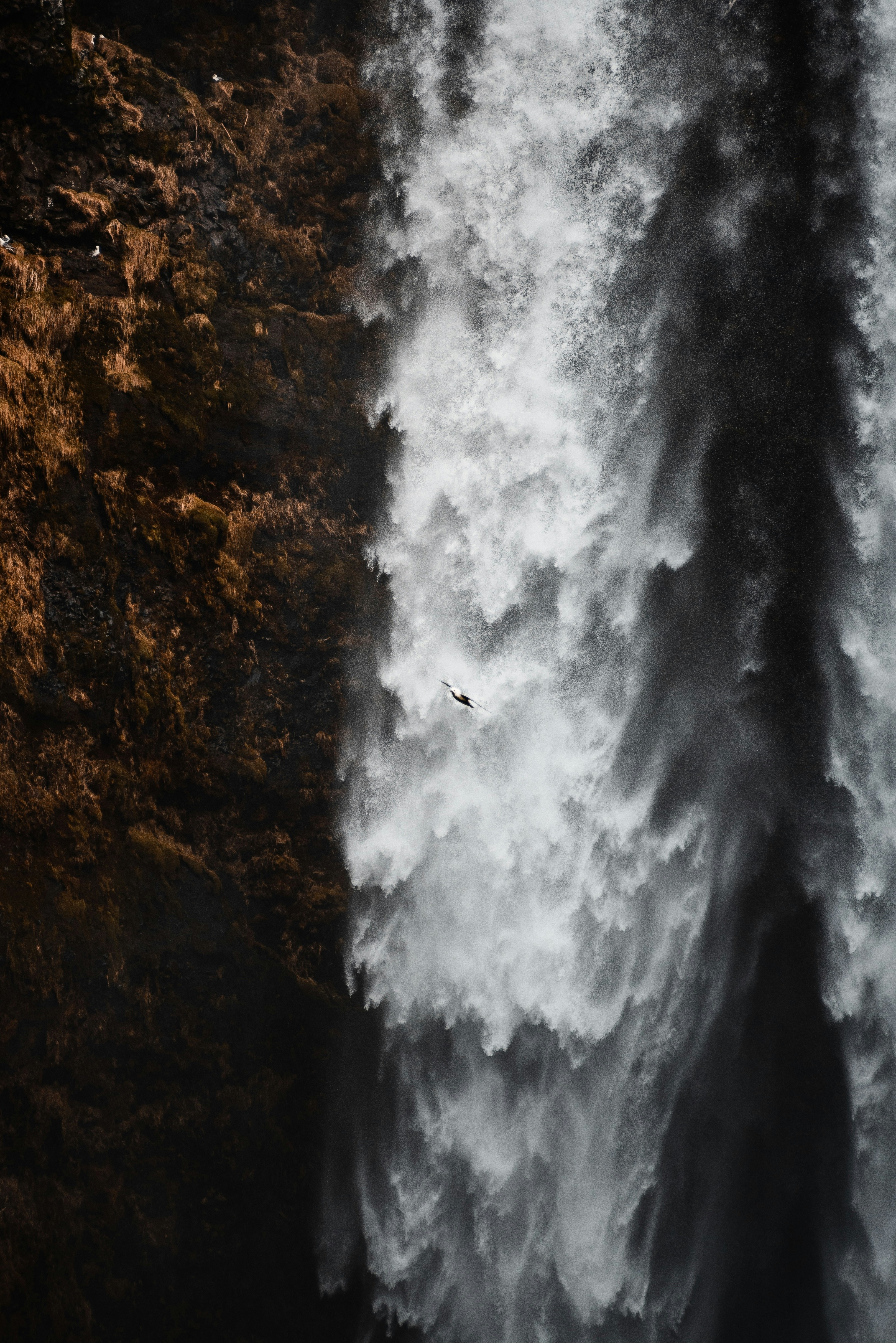 Photo by parsamphotography