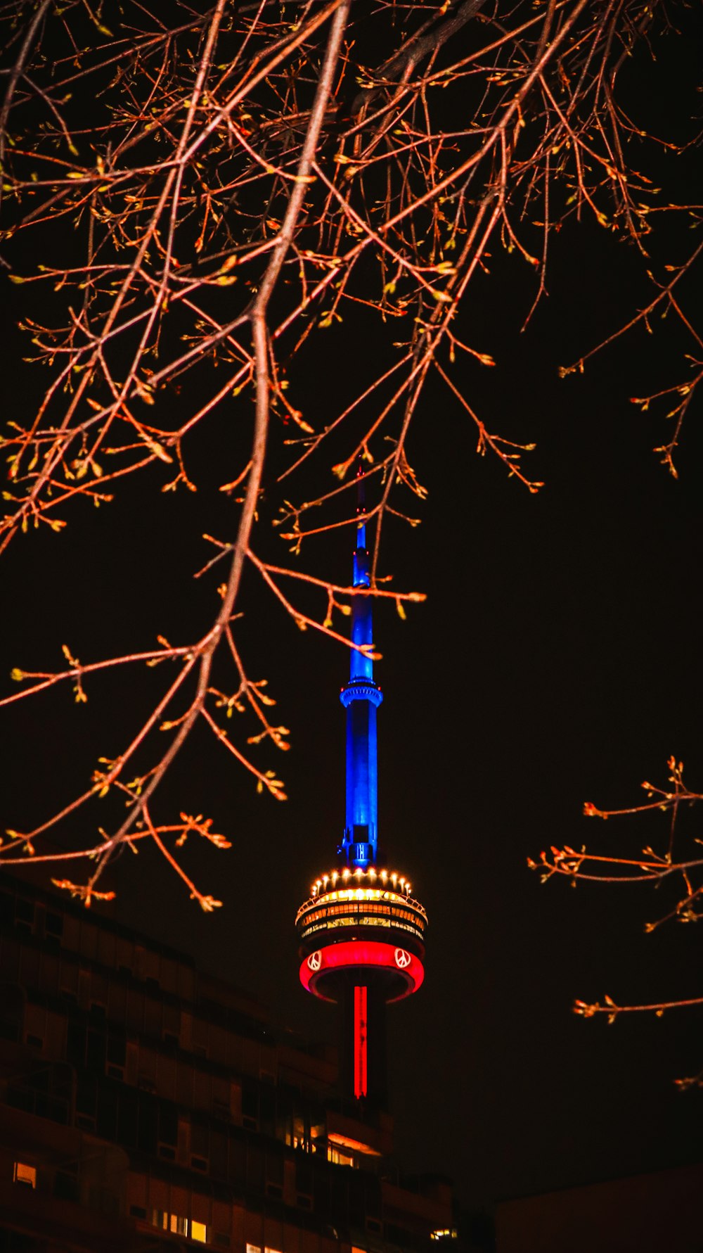 a tall tower with lights at night