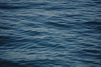 a body of water with ripples