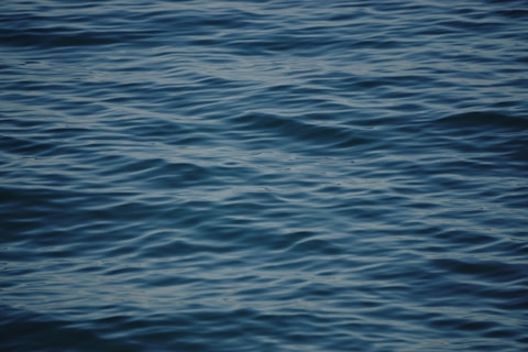 a body of water with ripples