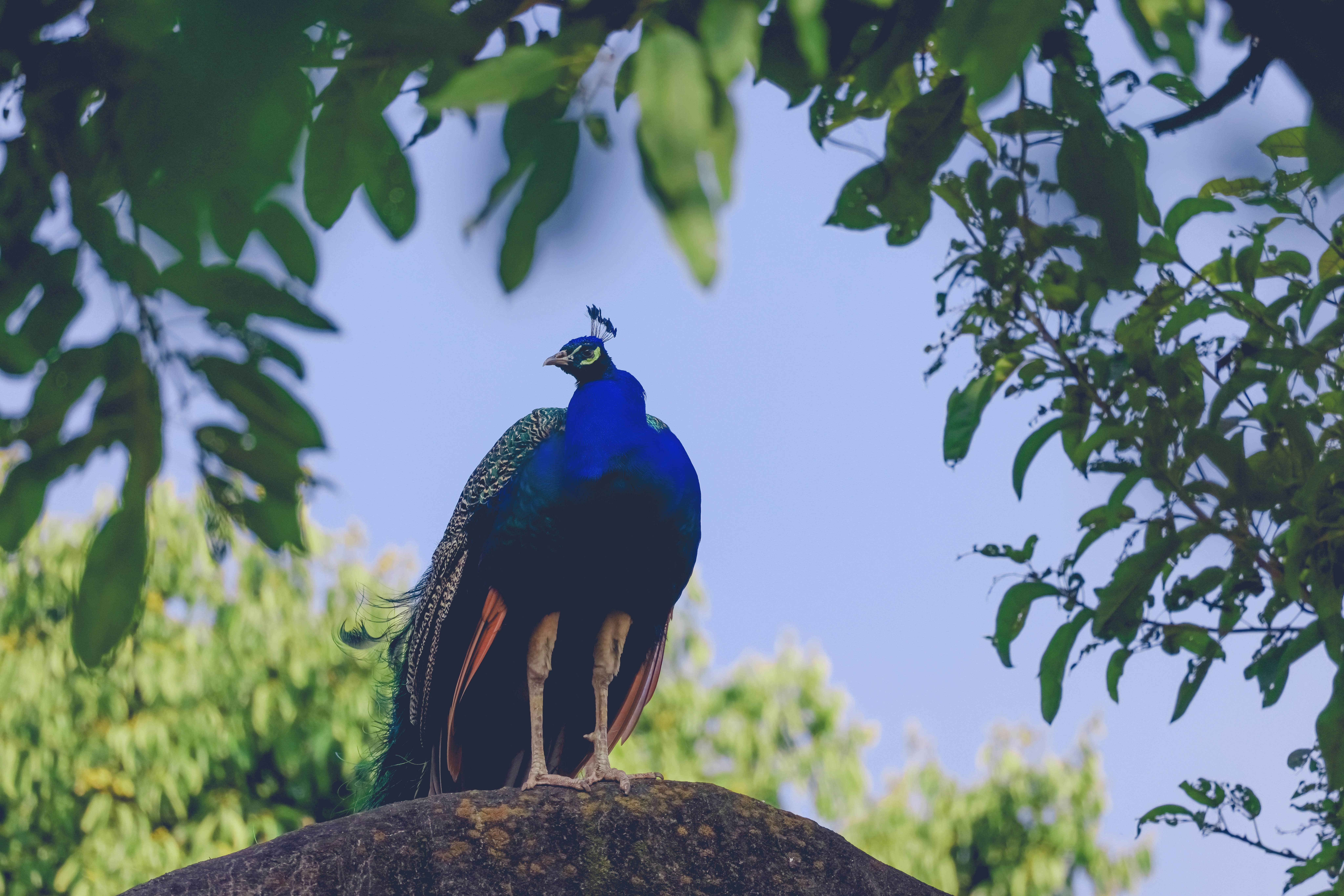 Photo by arttoinspire