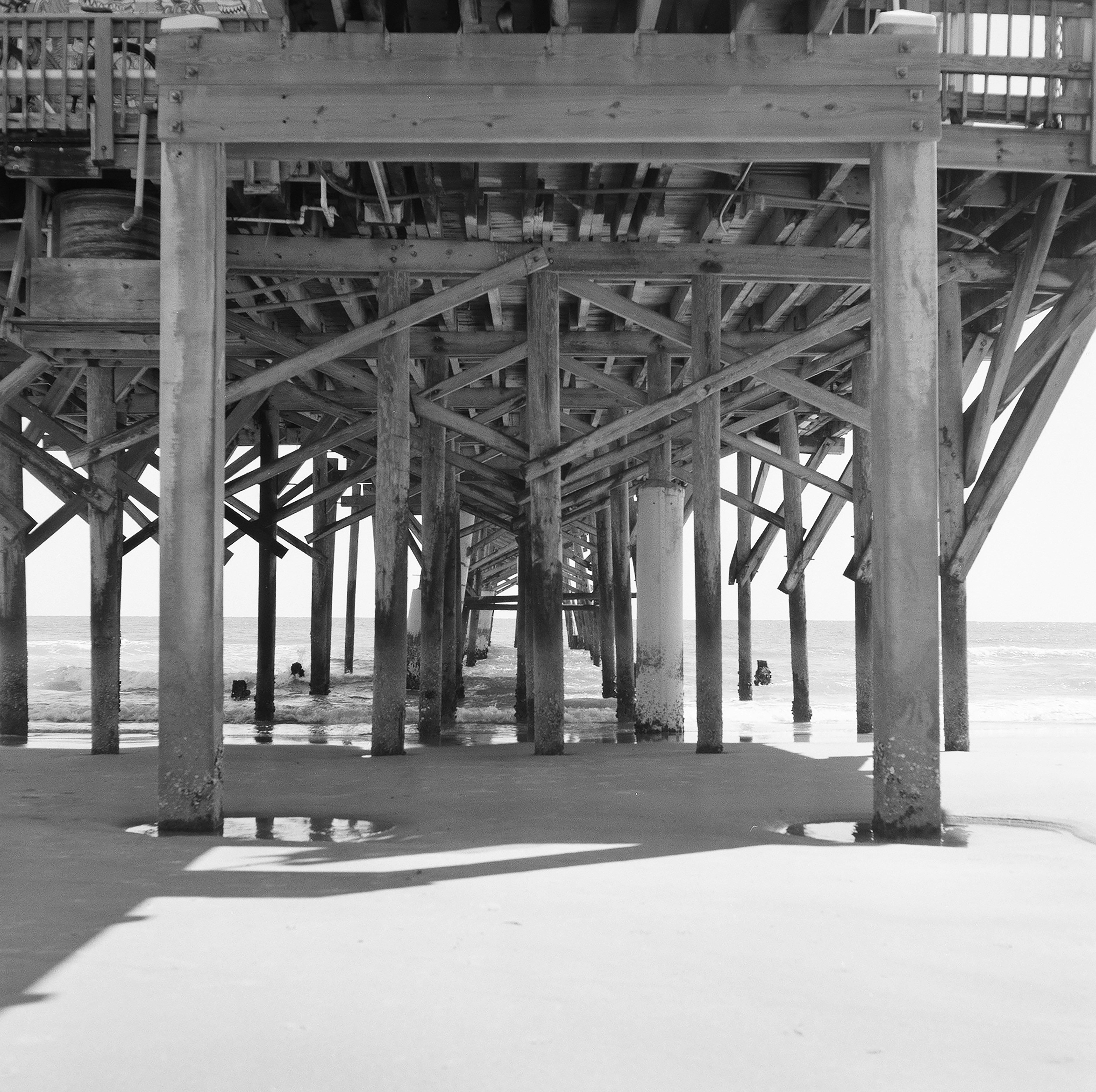 Photo by kasparseglitis