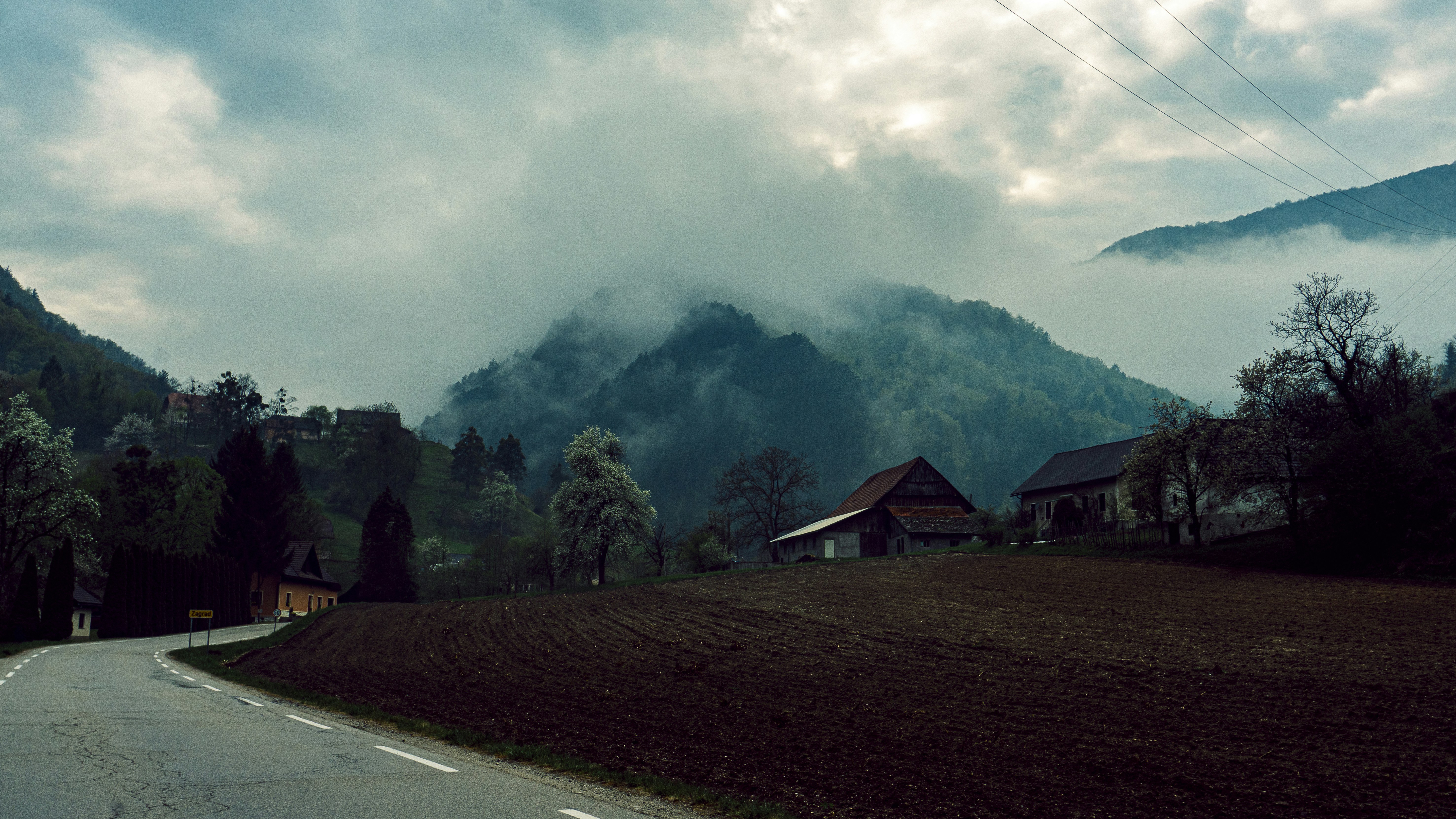 a road with trees and houses on the side, 
