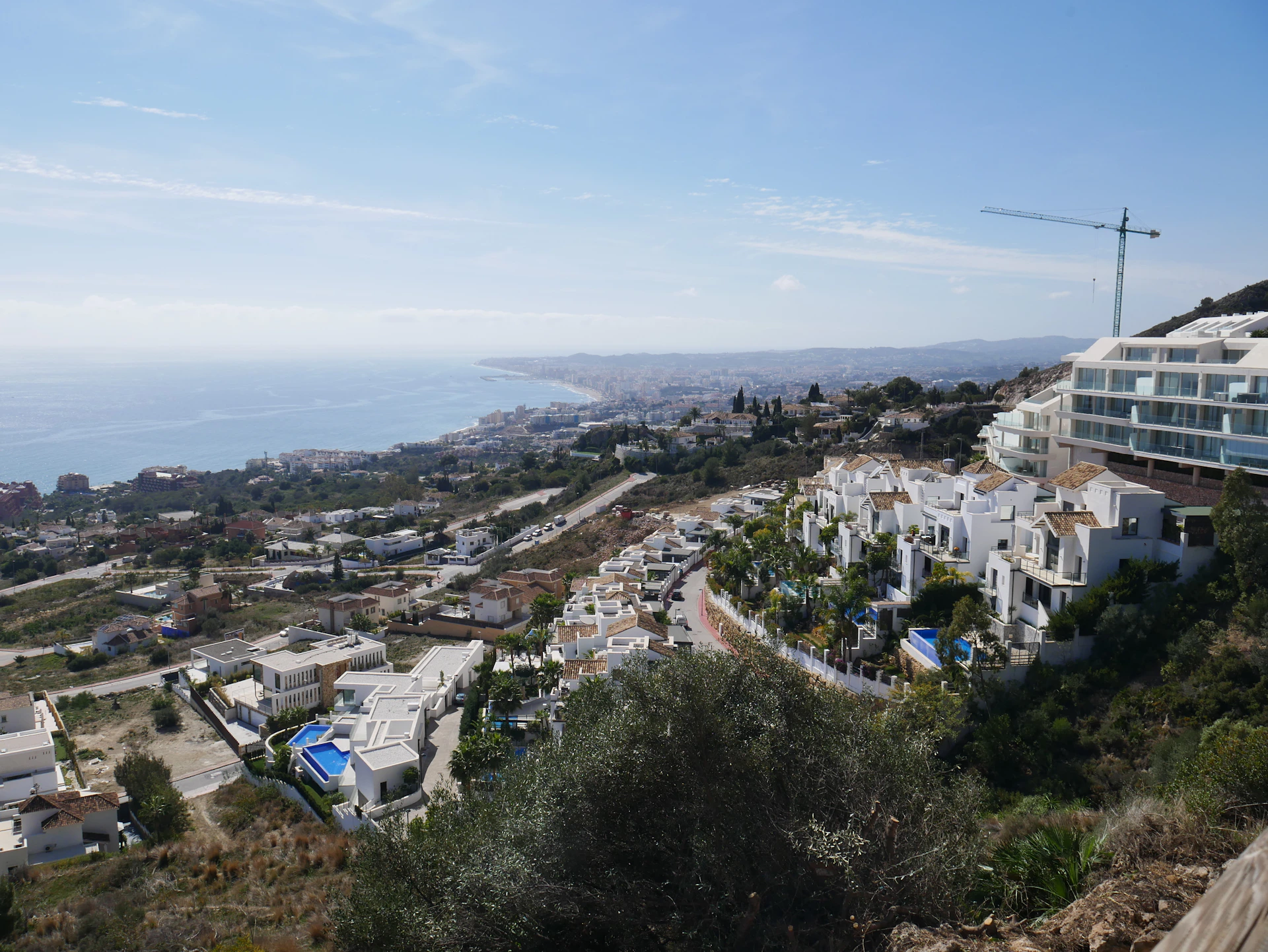 a city with trees and buildings