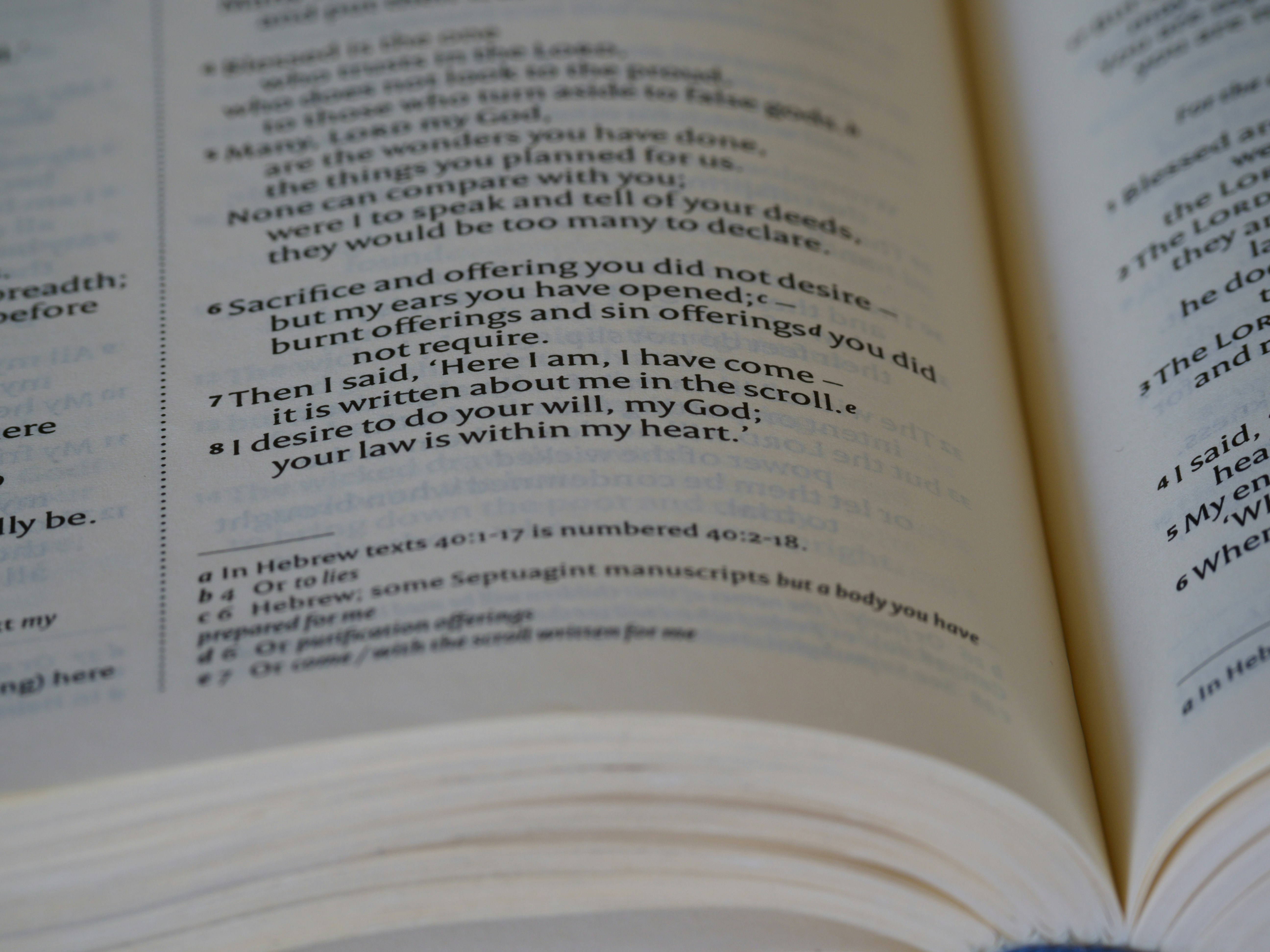 Photo by brett_jordan