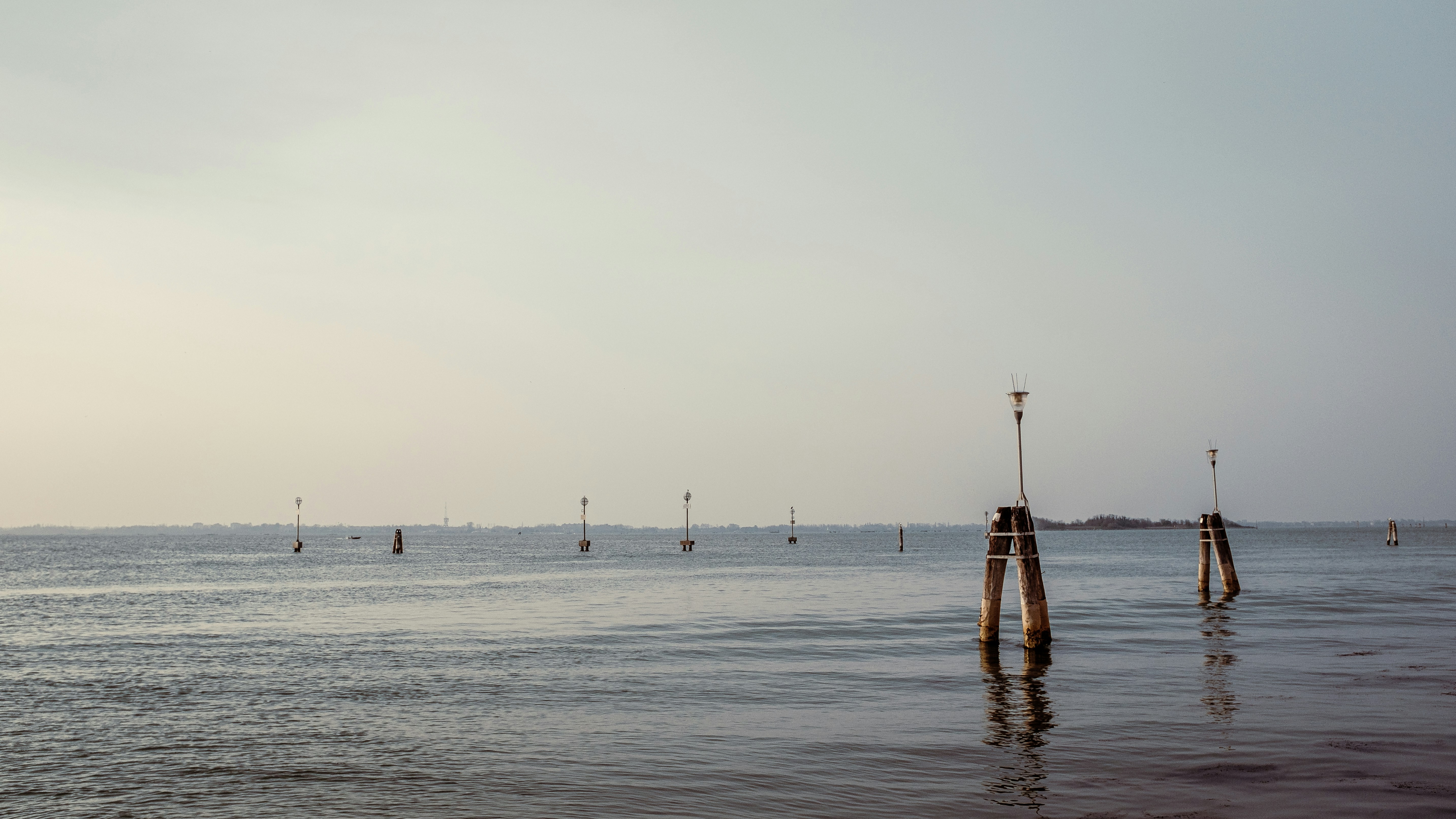 a group of wooden poles in the water