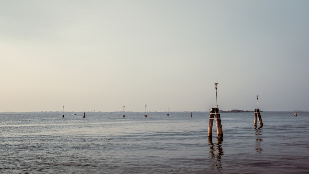 a group of wooden poles in the water