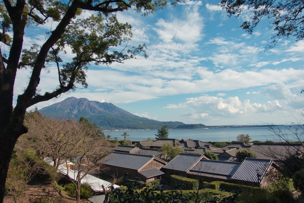 Un grupo de casas junto a un lago