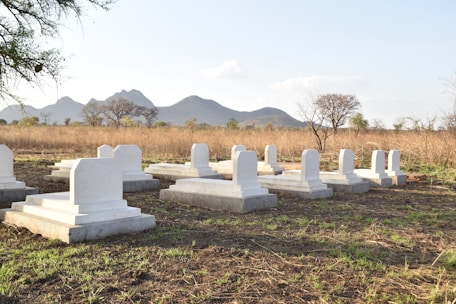 A tranquil cemetery with several white gravestones arranged in neat rows. The background features a natural landscape with dry grass, scattered trees, and distant hills under a clear sky.