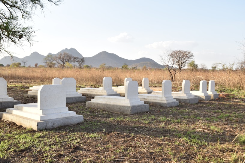 A tranquil cemetery with several white gravestones arranged in neat rows. The background features a natural landscape with dry grass, scattered trees, and distant hills under a clear sky.