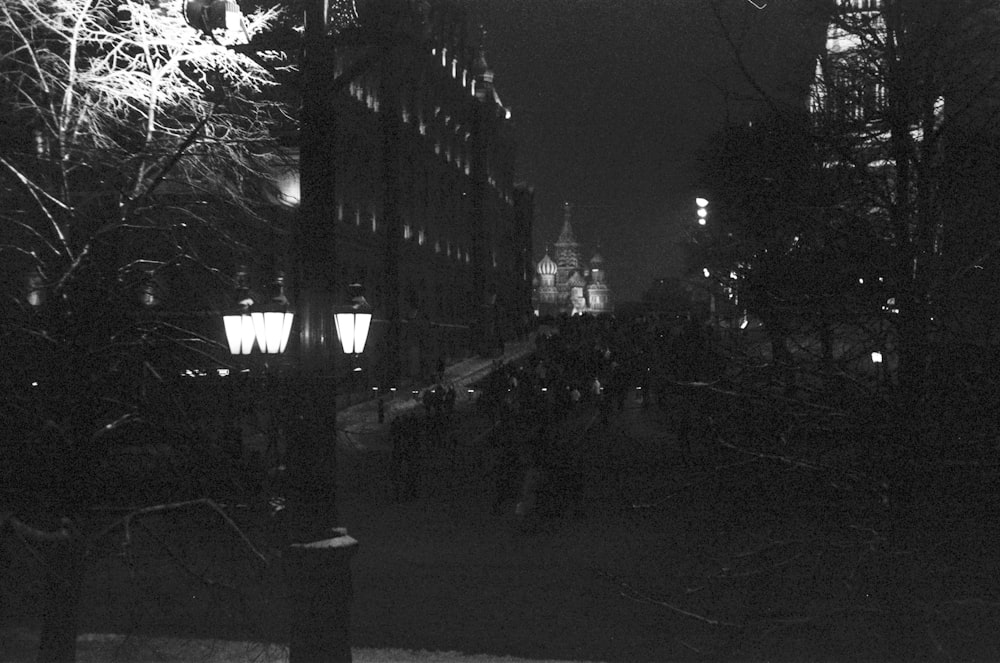 a street with trees and buildings at night